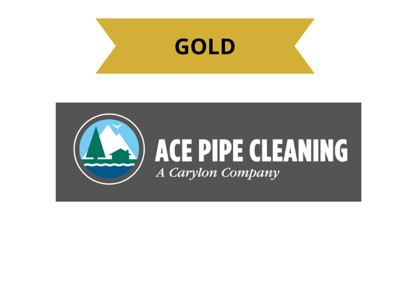 Ace Pipe Cleaning.png