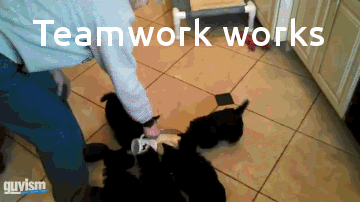 teamwork.gif