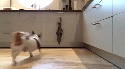 happy weekend.gif