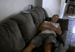 big dog snuggle.gif