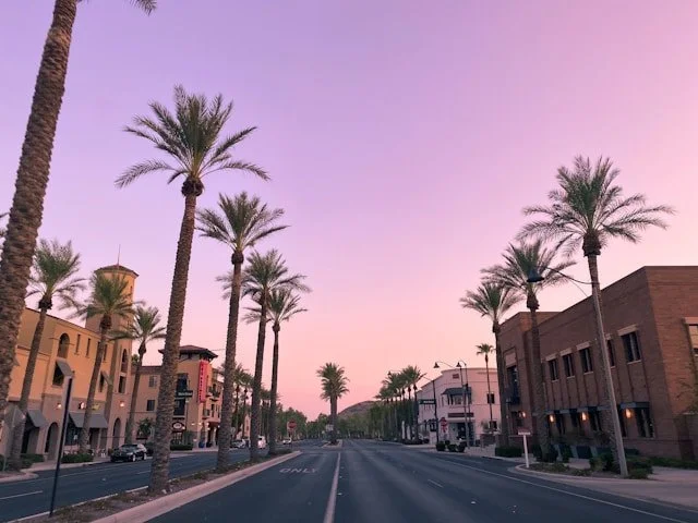 24+ phoenix photo.jpg