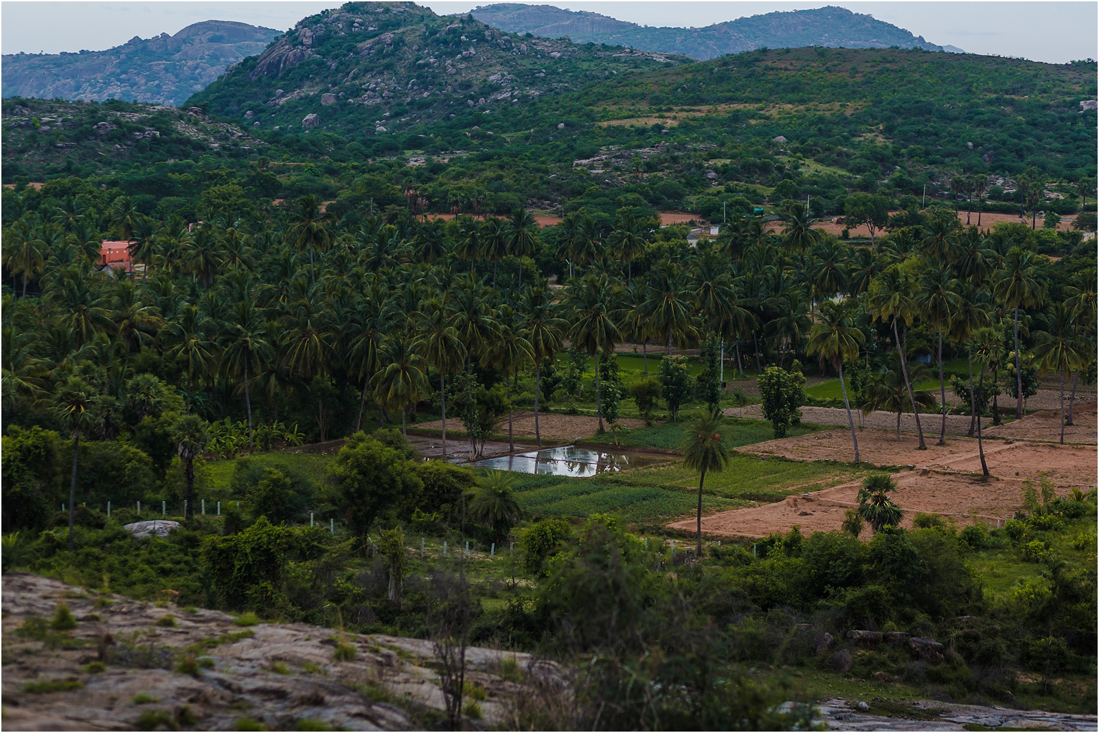 20150613-Sahas-Trek-Dhonna Banda-246.jpg