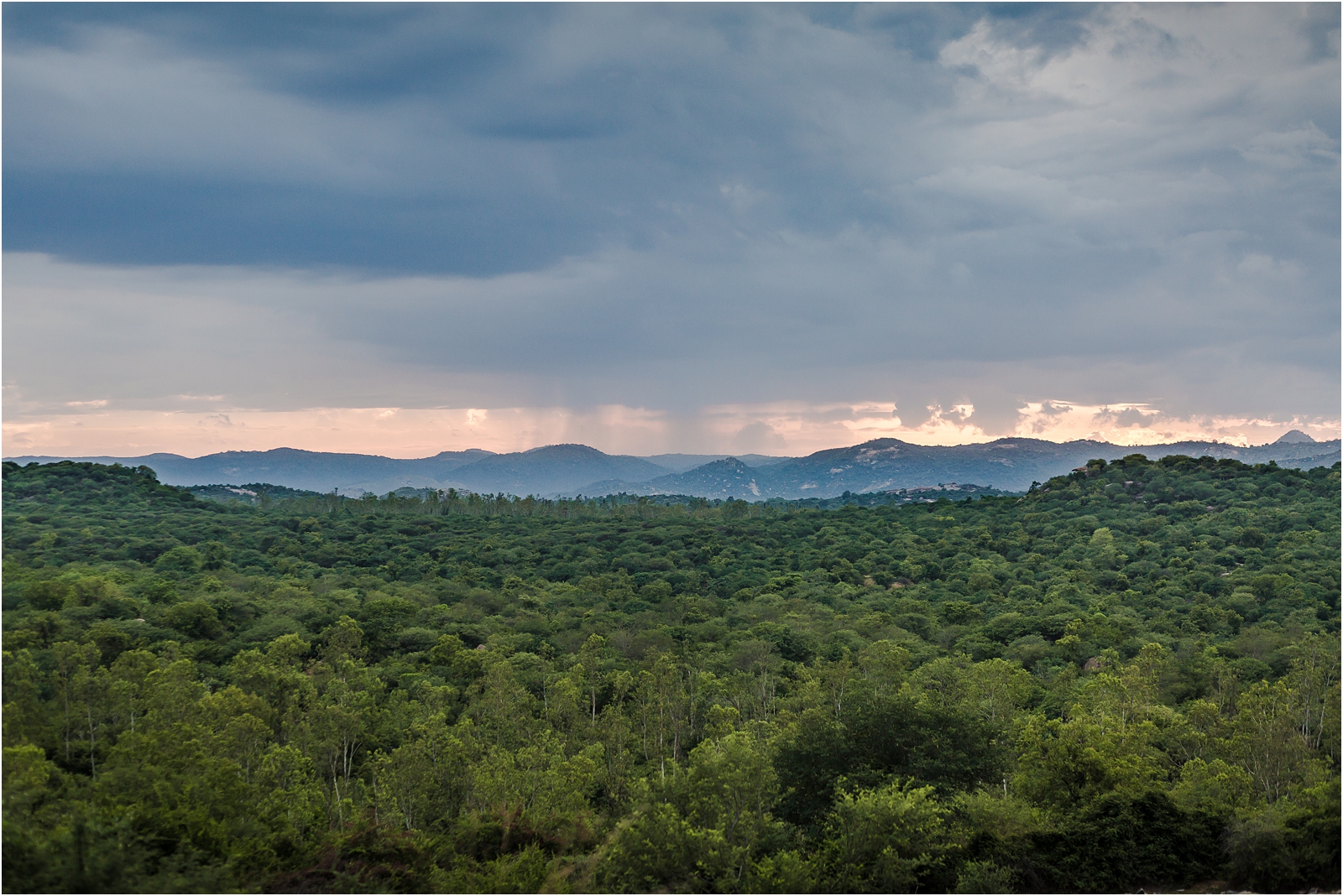 20150613-Sahas-Trek-Dhonna Banda-247.jpg