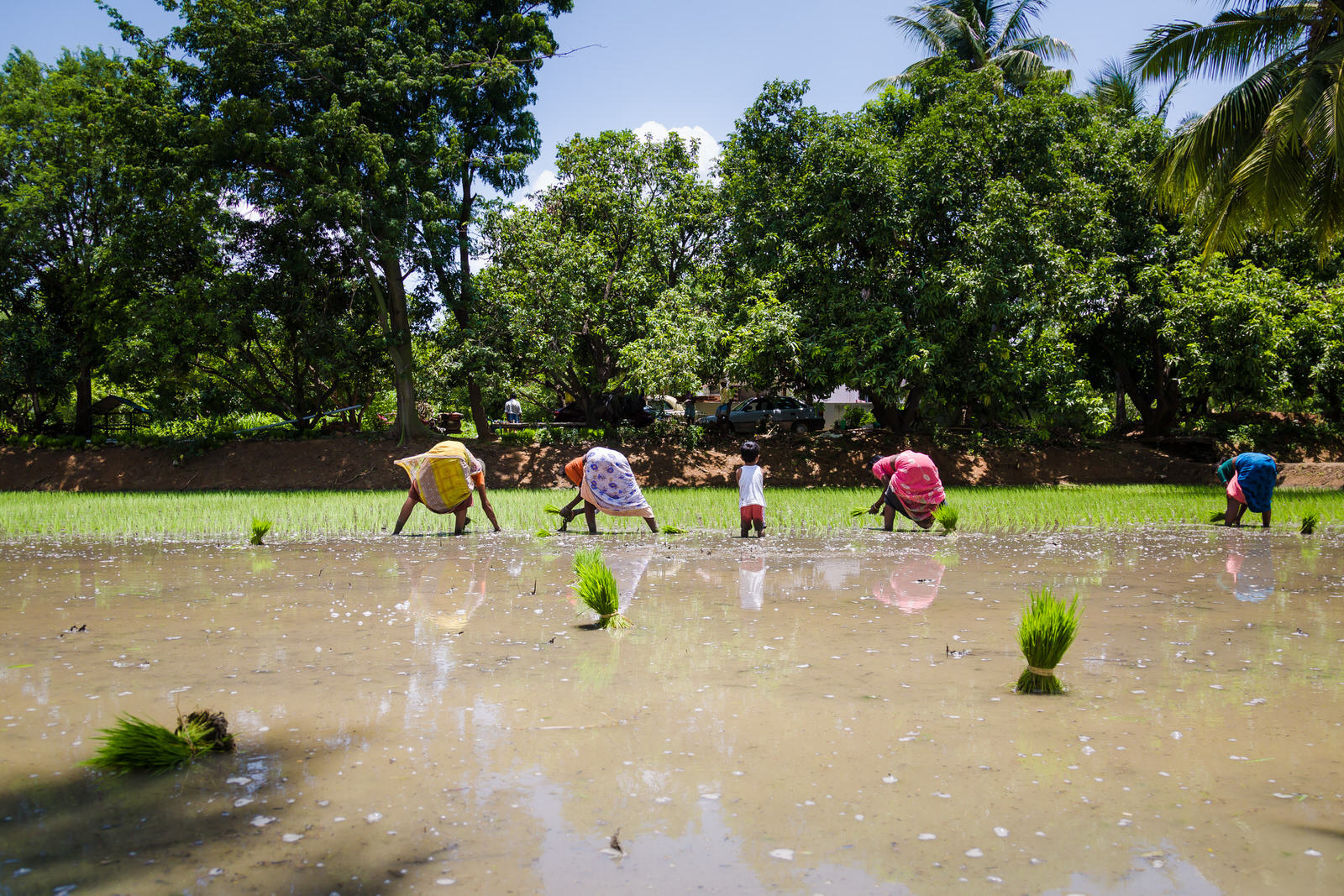 25082015-Sahas-Nathu-Nadudhal-119.jpg