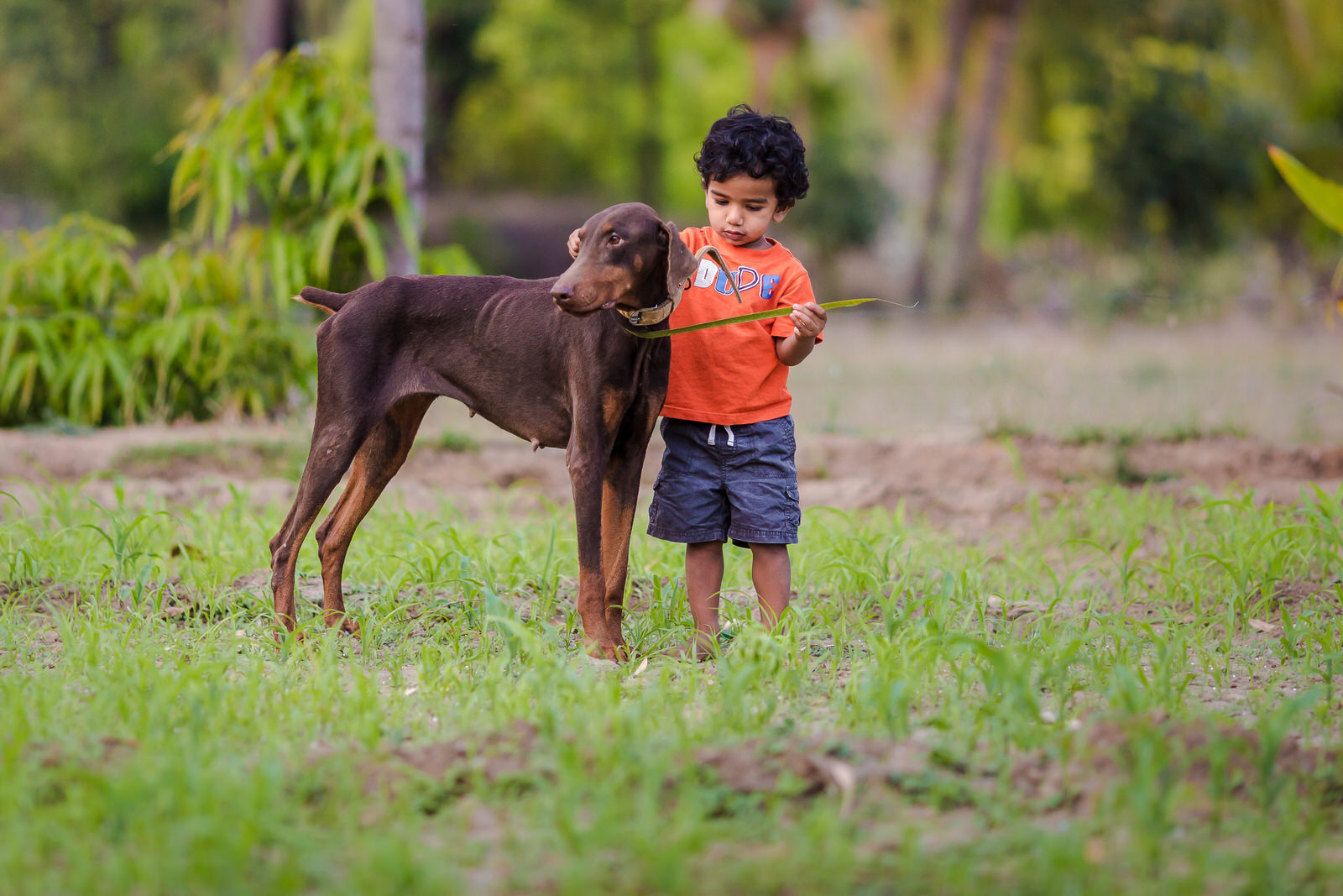 20150328-Sahas-With-Dog-in-fileds-179-Edit.jpg