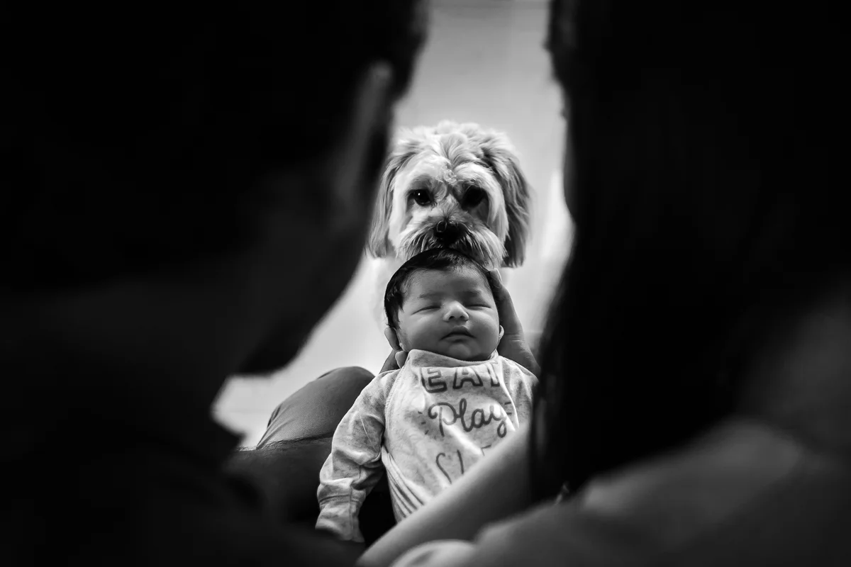 Pumbaa Escobar's Little family grew a little bigger, An Indoor Newborn Photoshoot at Chennai.