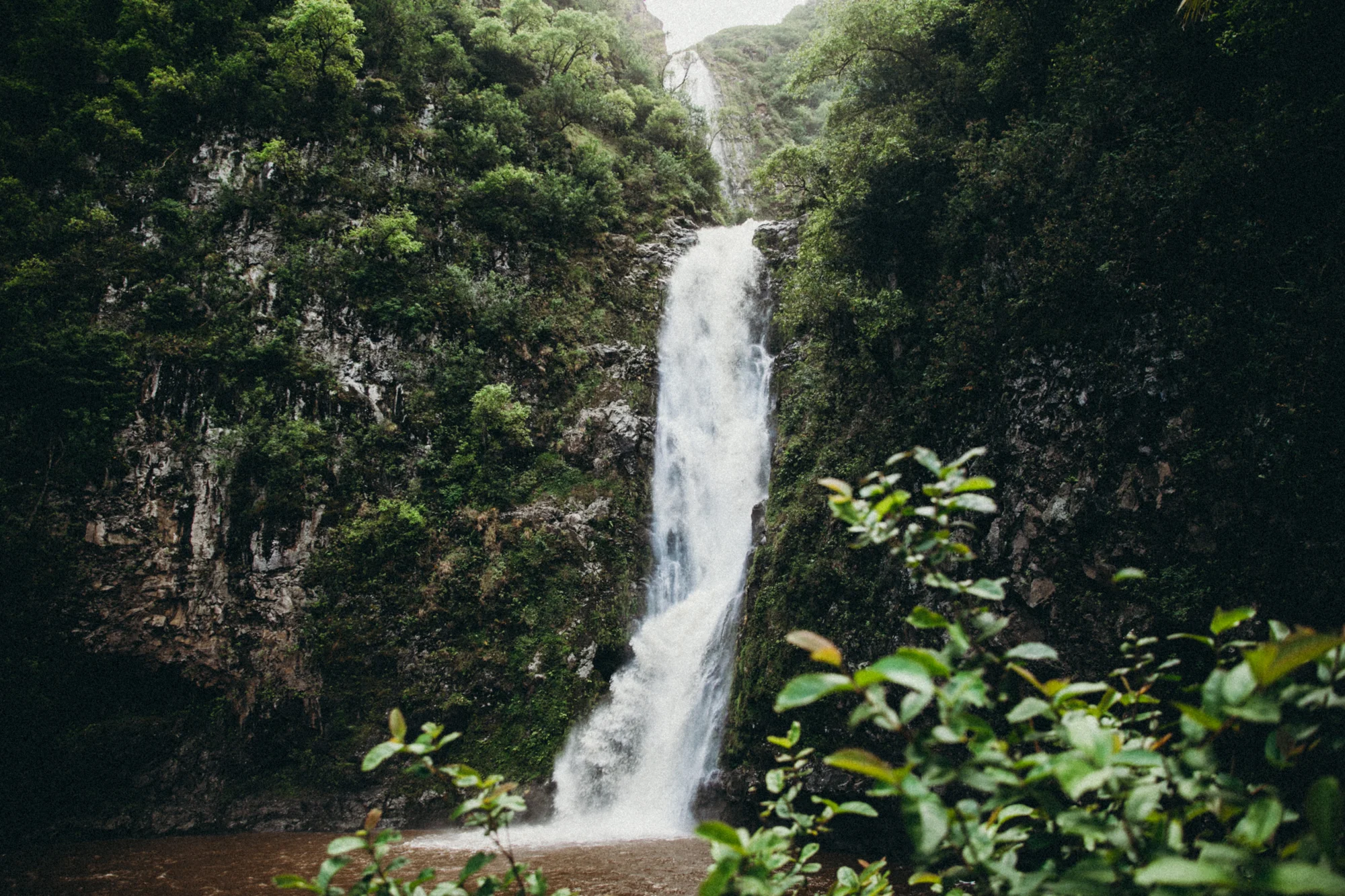 MolokaiHawaii_HBGOODIE2018 (26 of 81).jpg