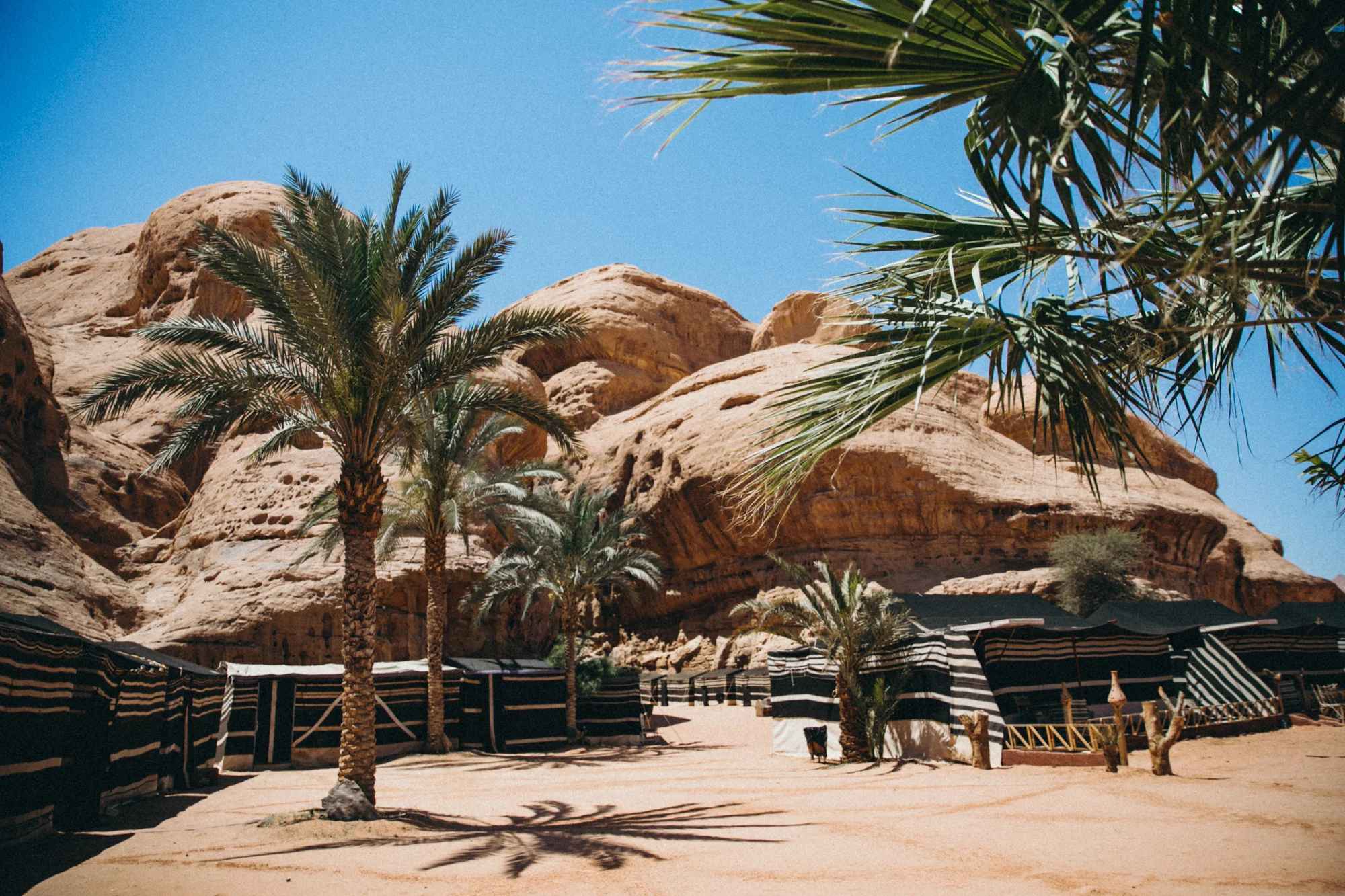 The next day we headed out to Wadi Rum which is the RADDEST place ever. Miles of sand dunes, tent dwellings, camels, massive cliffs, and palm trees.