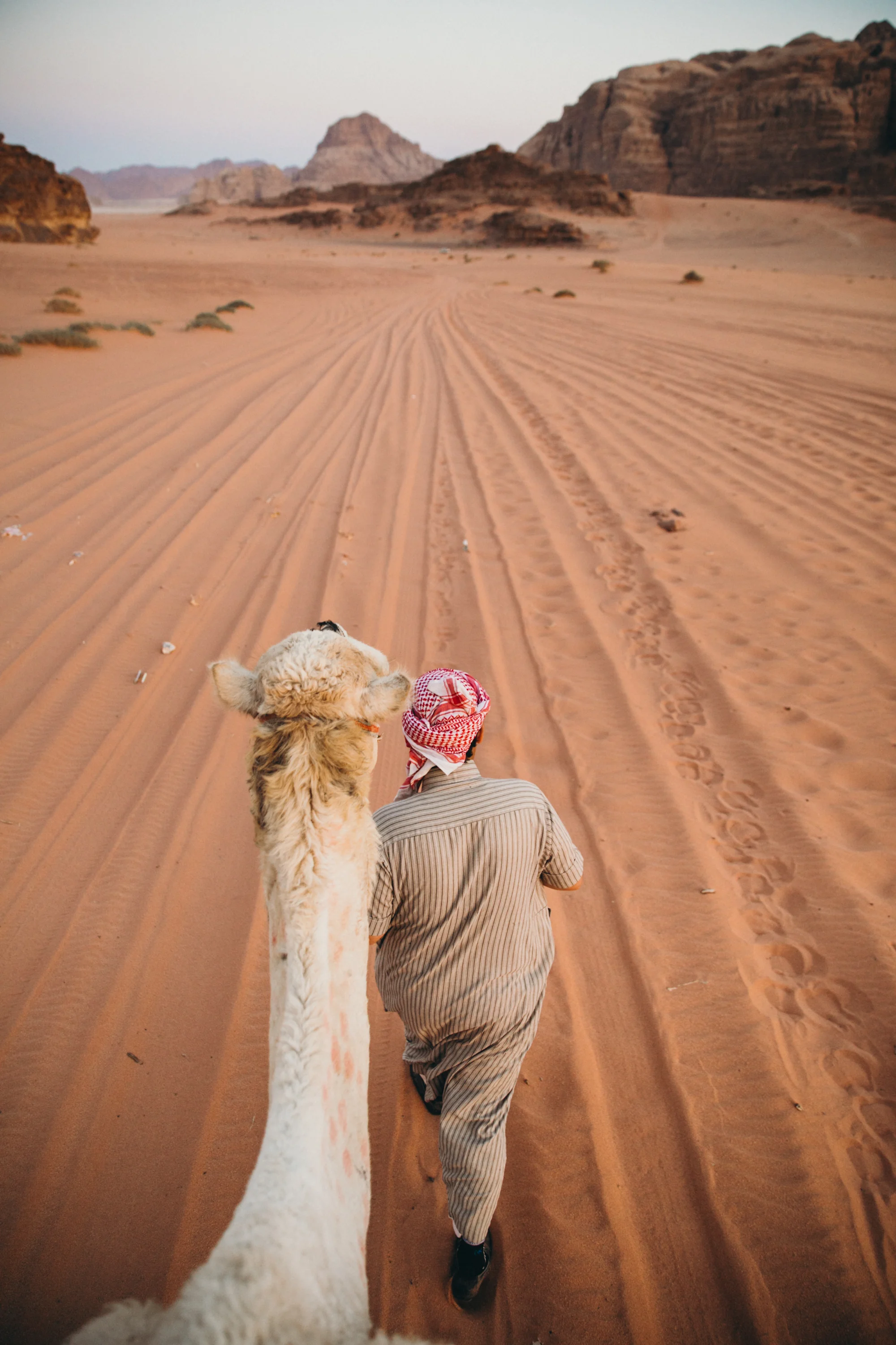 Riding camels in Wadi Rum was by far one of my favorite activities. We met so many characters and I was able to take some of my favorite photos ever! I absolutely love this image, I plan on printing it big someday when I have a house!
