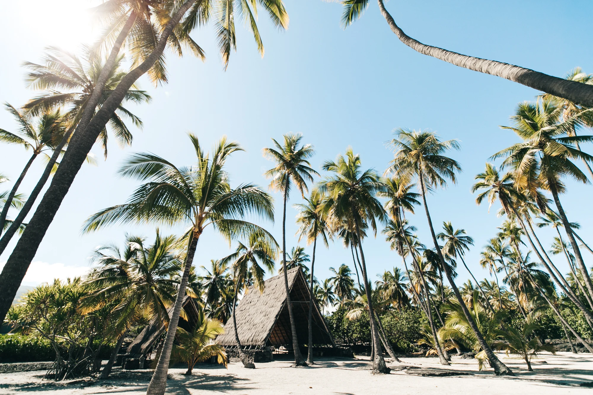 BigIslandHawaii_HBGOODIE2019 (7 of 10).jpg