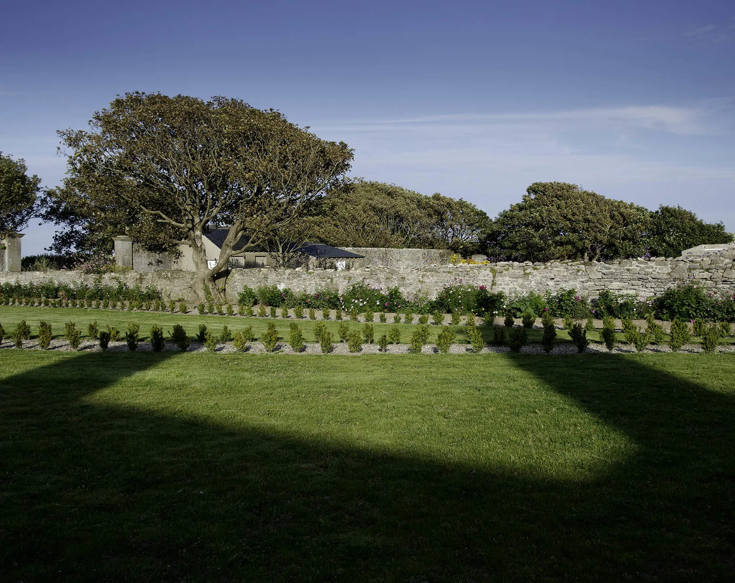 garden5.jpg
