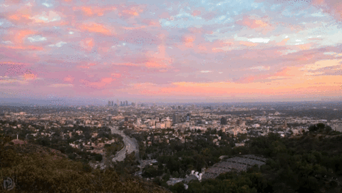 giphy-3.gif