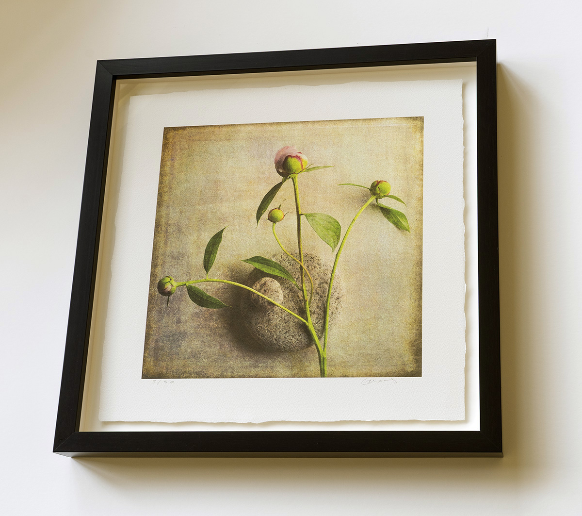 20" x 20" float mount framed print