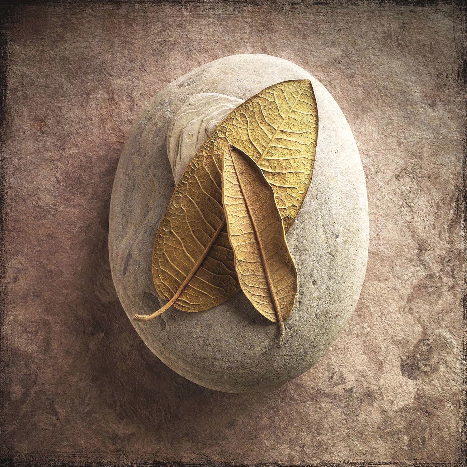 TwoLeavesTwoStonesSqSpace2.jpg