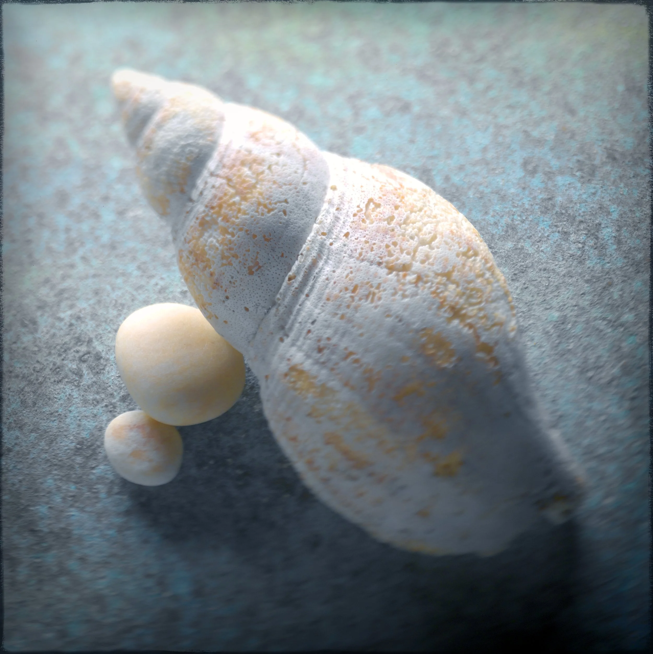 ShellAndStonesSq14x14UpdatedTextureLayers3-24-26Saatchi.jpg
