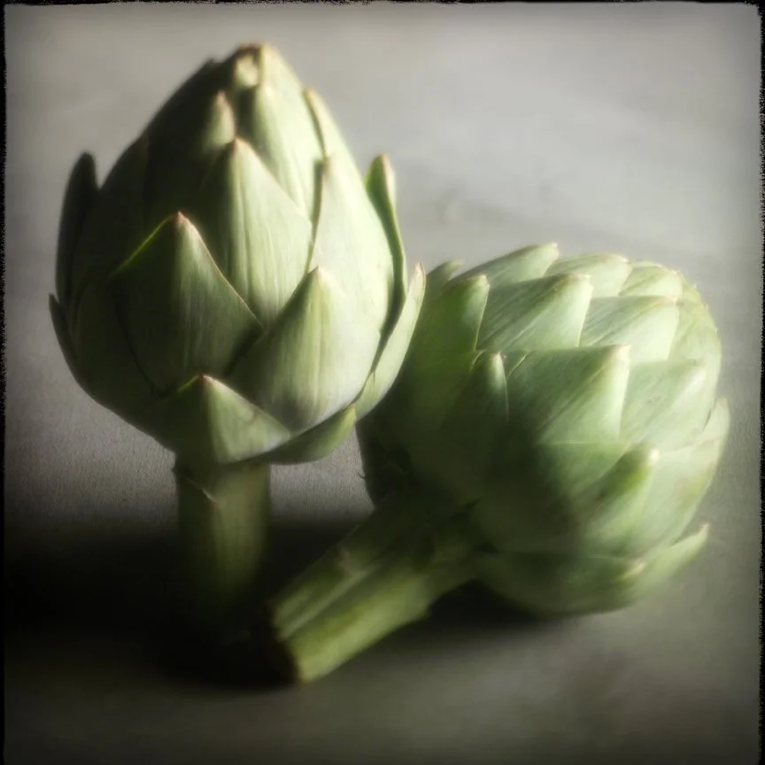 ArtichokesTwo12x12-8-13-26SQSP2.jpg