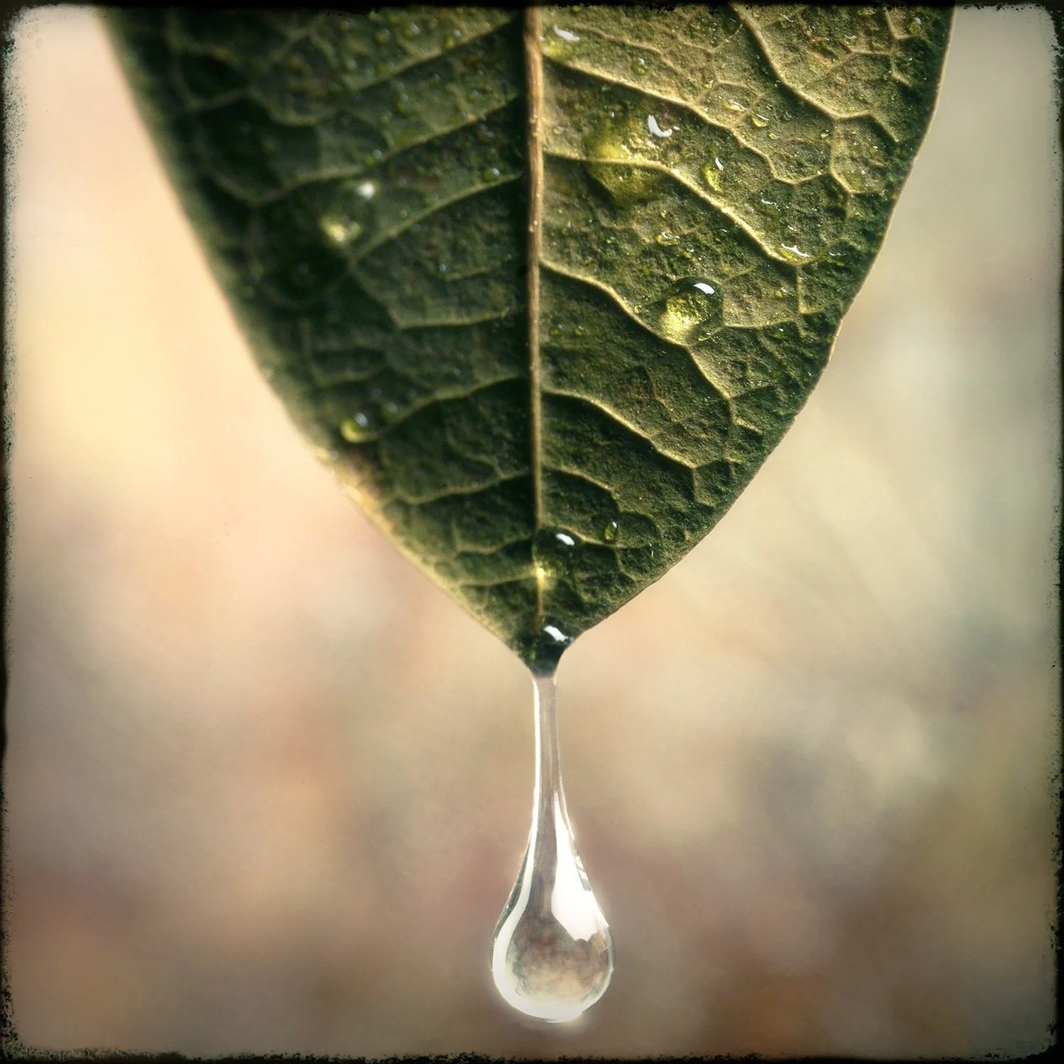 DropletUpdatedSQSP.jpg