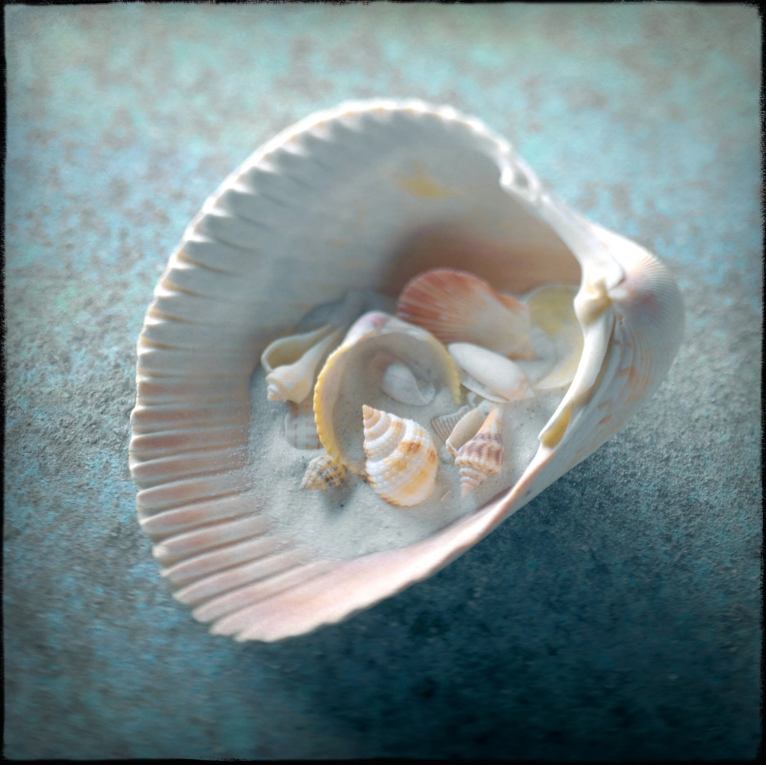 ShellsInShellSq14x14UpdatedStraighterTextureLayers3-20-26Saatchi.jpg
