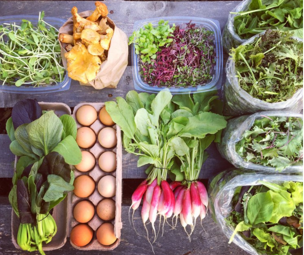 MEACHAM URBAN FARM — Farmer's Choice Box