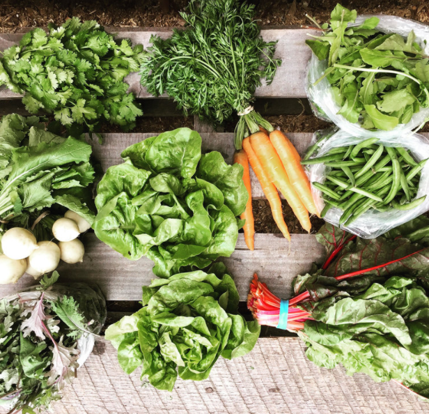 MEACHAM URBAN FARM — Farmer's Choice Box