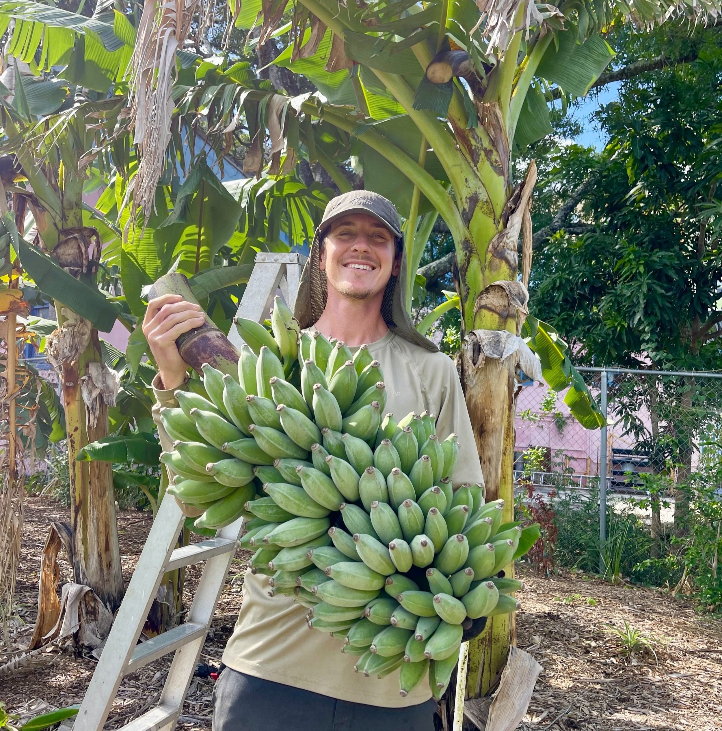 MEACHAM URBAN FARM — Meet Your Farmers