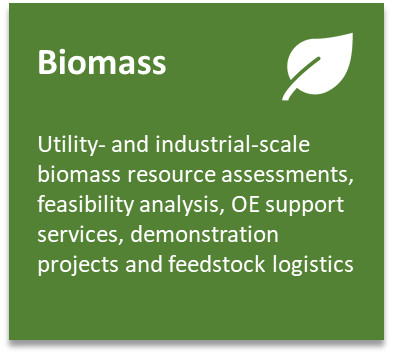 BiomassProjectBox.jpeg