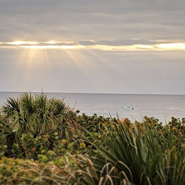 Blew in yesterday and the wind it was a whippin'. Woke up this morning to the calm. It's gonna be a good day.
.
.
.
.
#sunshine #florida #palmbeach #norain #vacationmode #420