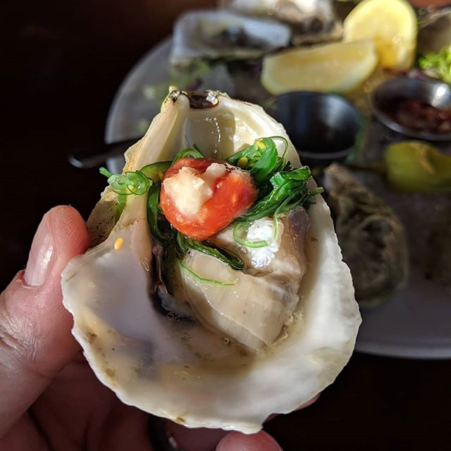 Date night with my girl. Oysters, Corona and some sunlight, crab nachos, boats, and a nice walkable path. Gosh it's good to be alive. Keep it pointed at infinity folks
.
.
.
.
#infinity #florida #oysters #datenight #foodie #corona