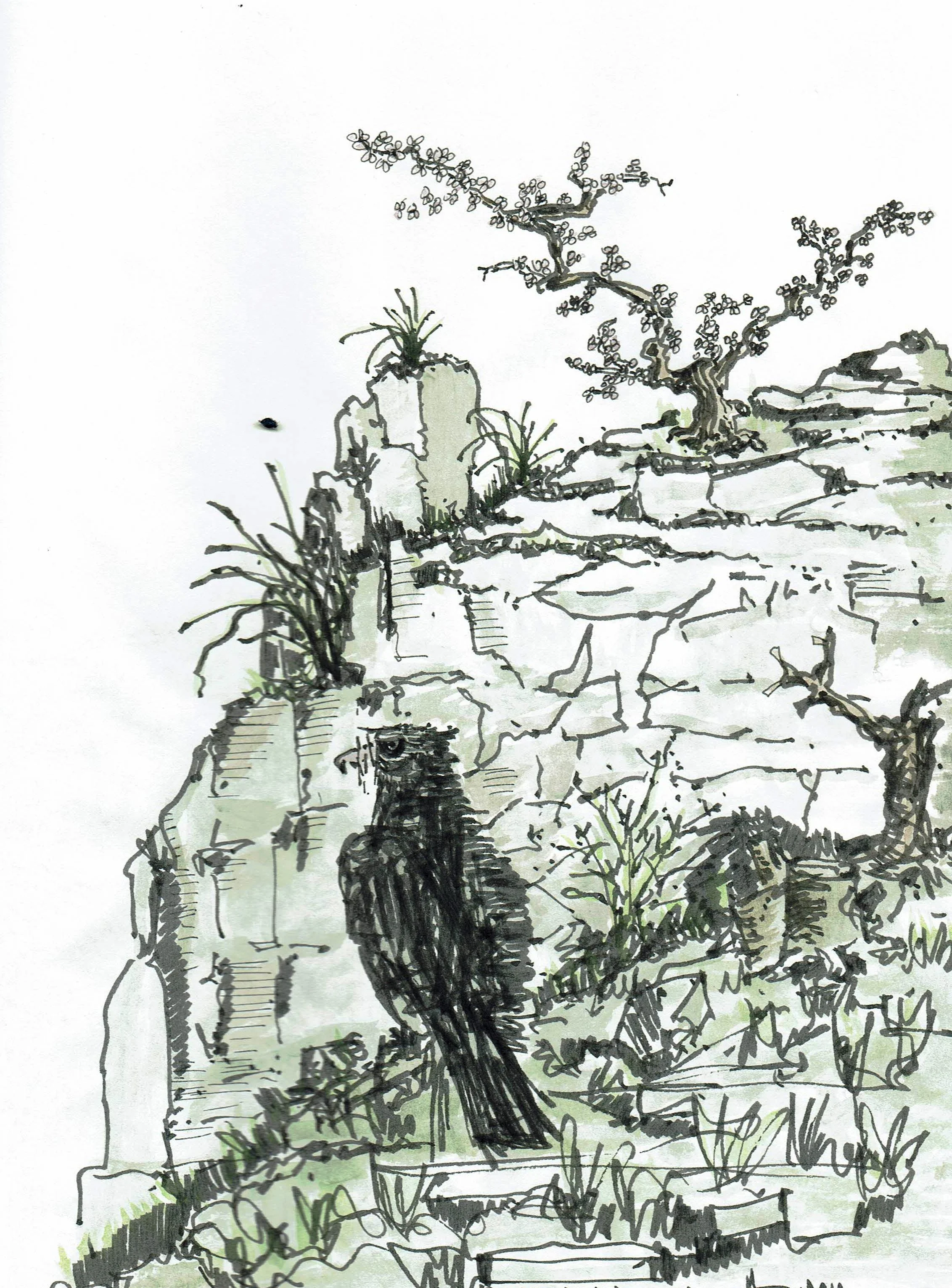 Wildlife of Stone Forest, Kunming, Yunnan, China