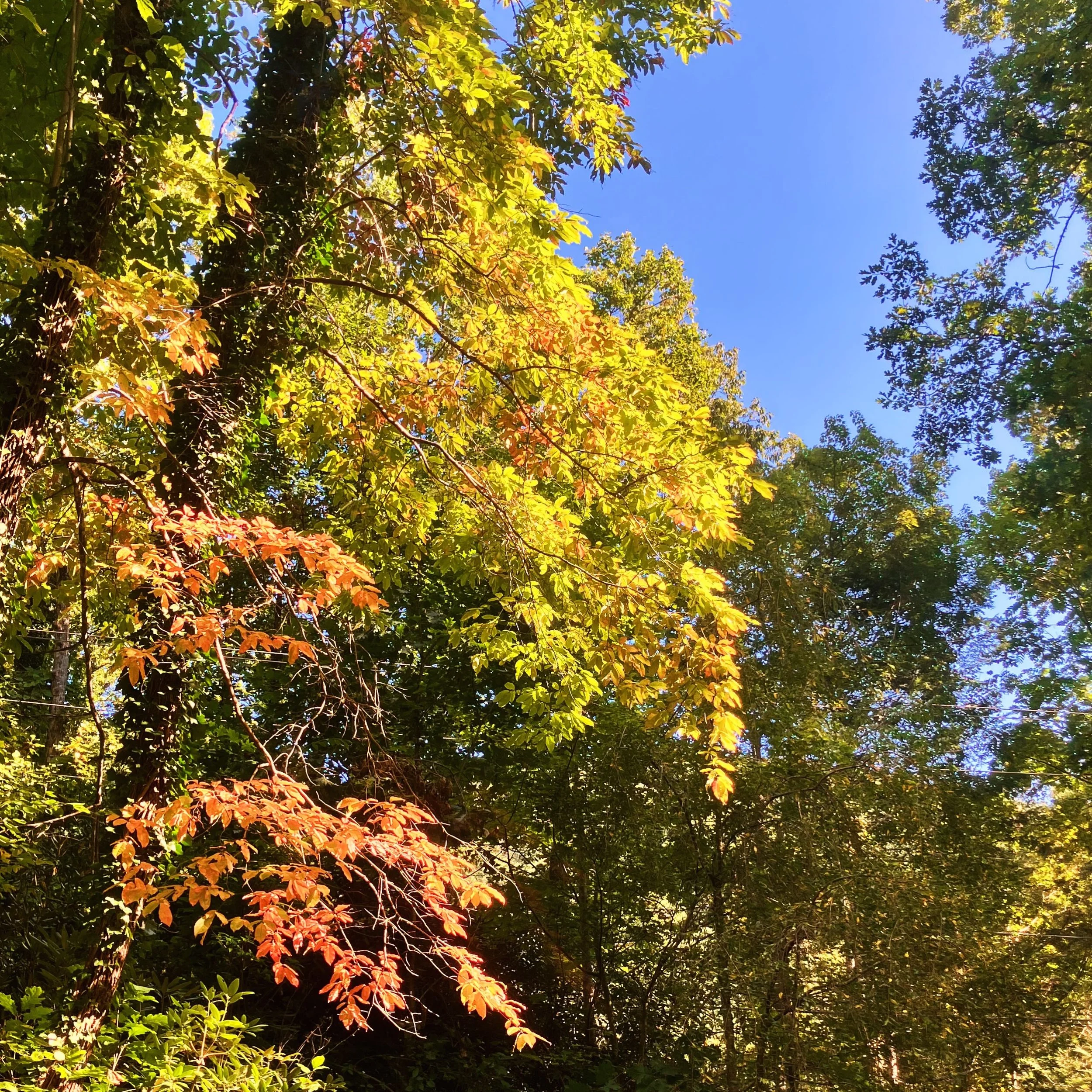 It&rsquo;s happening!! Happy October! 🍂🍁🍂