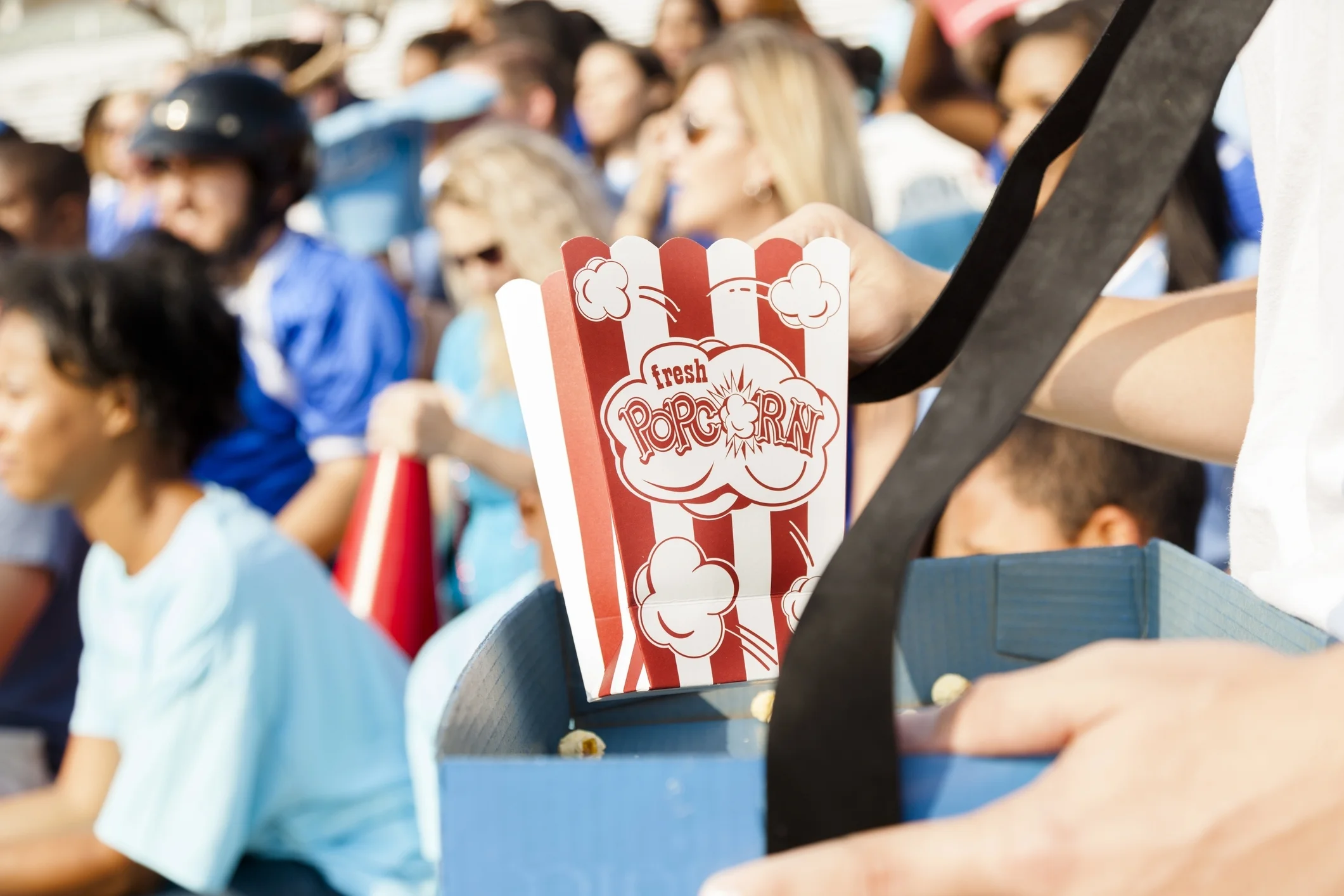 The View from the Bleachers: The Parents' Role in the College Process