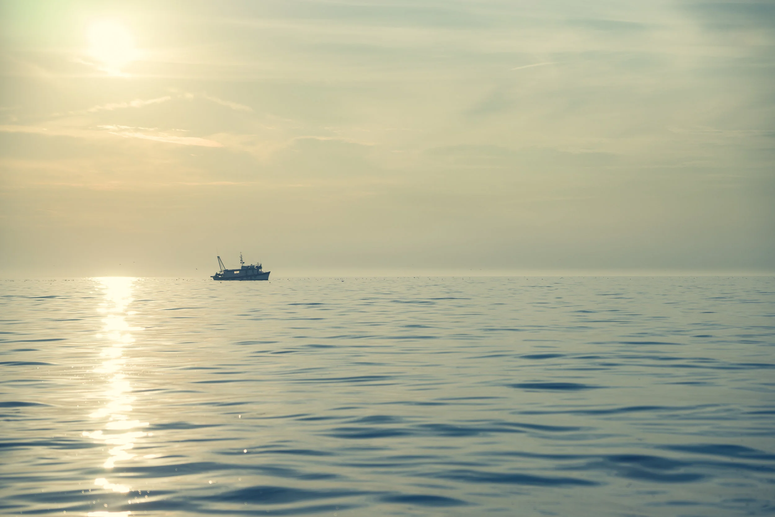 In unchartered waters, find alternative ways to make your final college decision