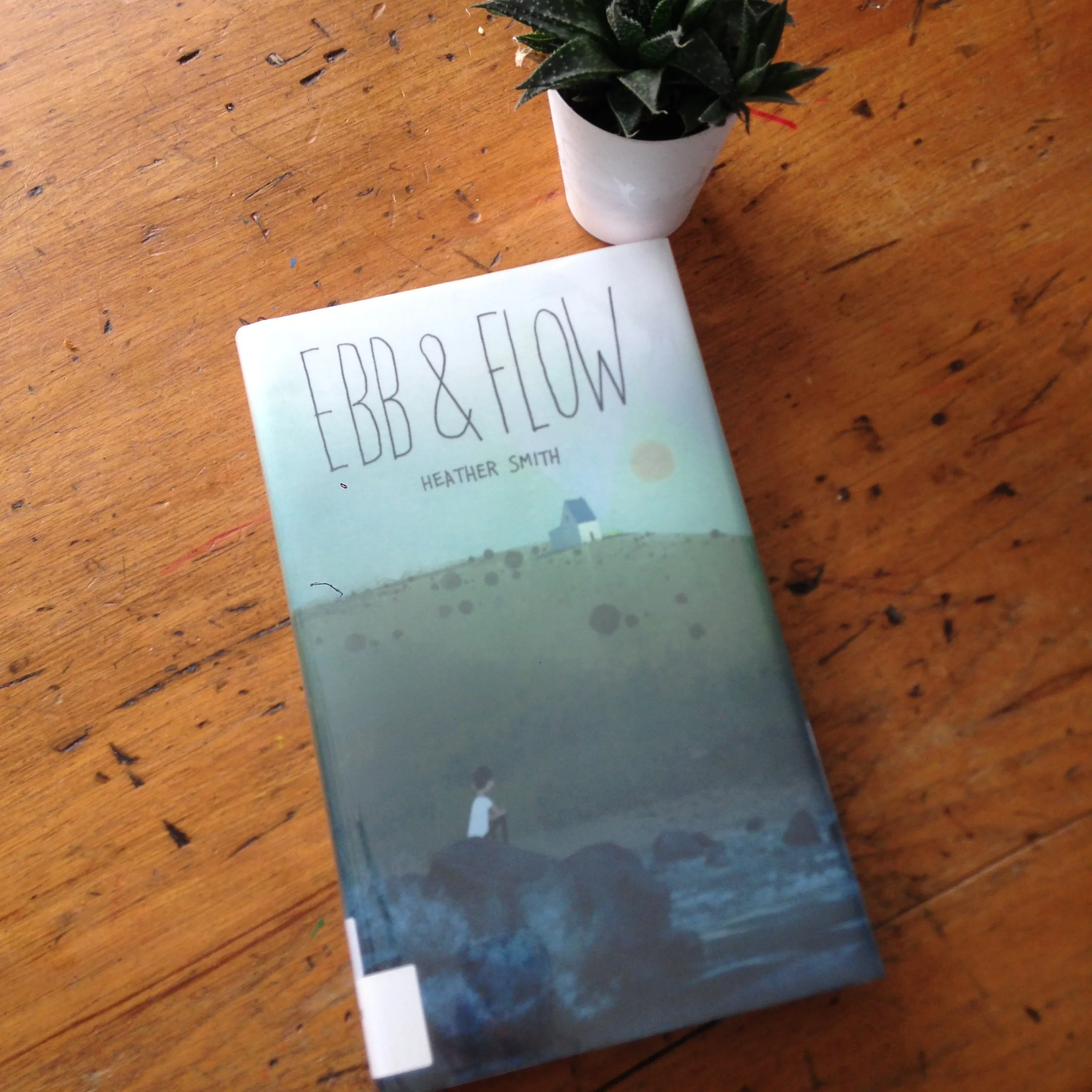A New Novel in Verse