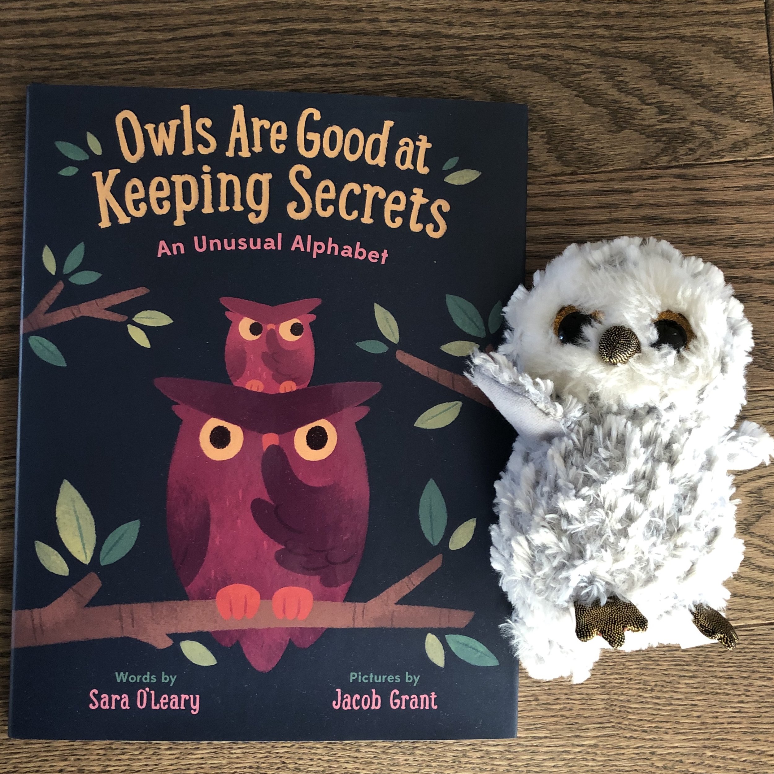 A Fun Twist on the Alphabet Book