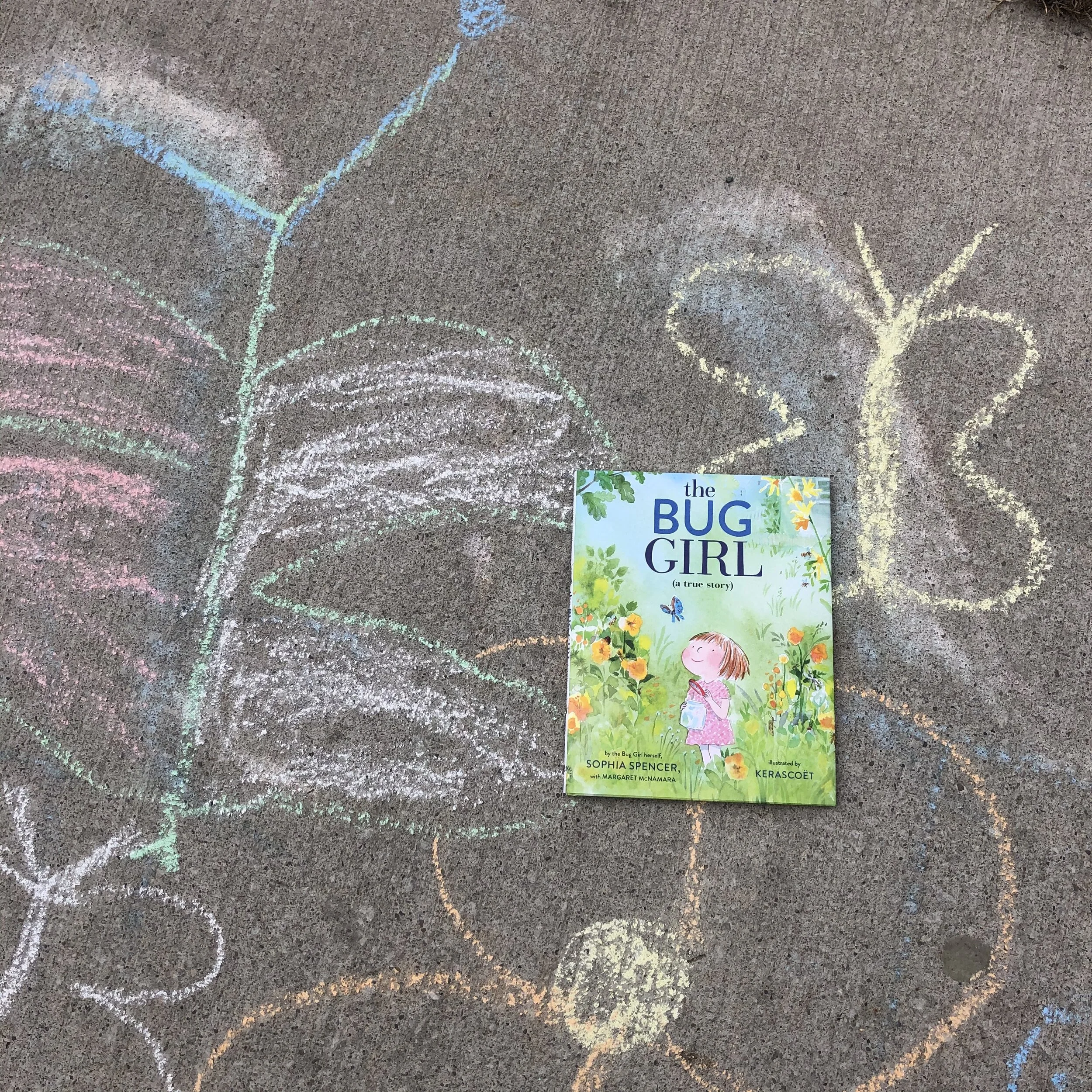 Bugs Aren’t So Bad