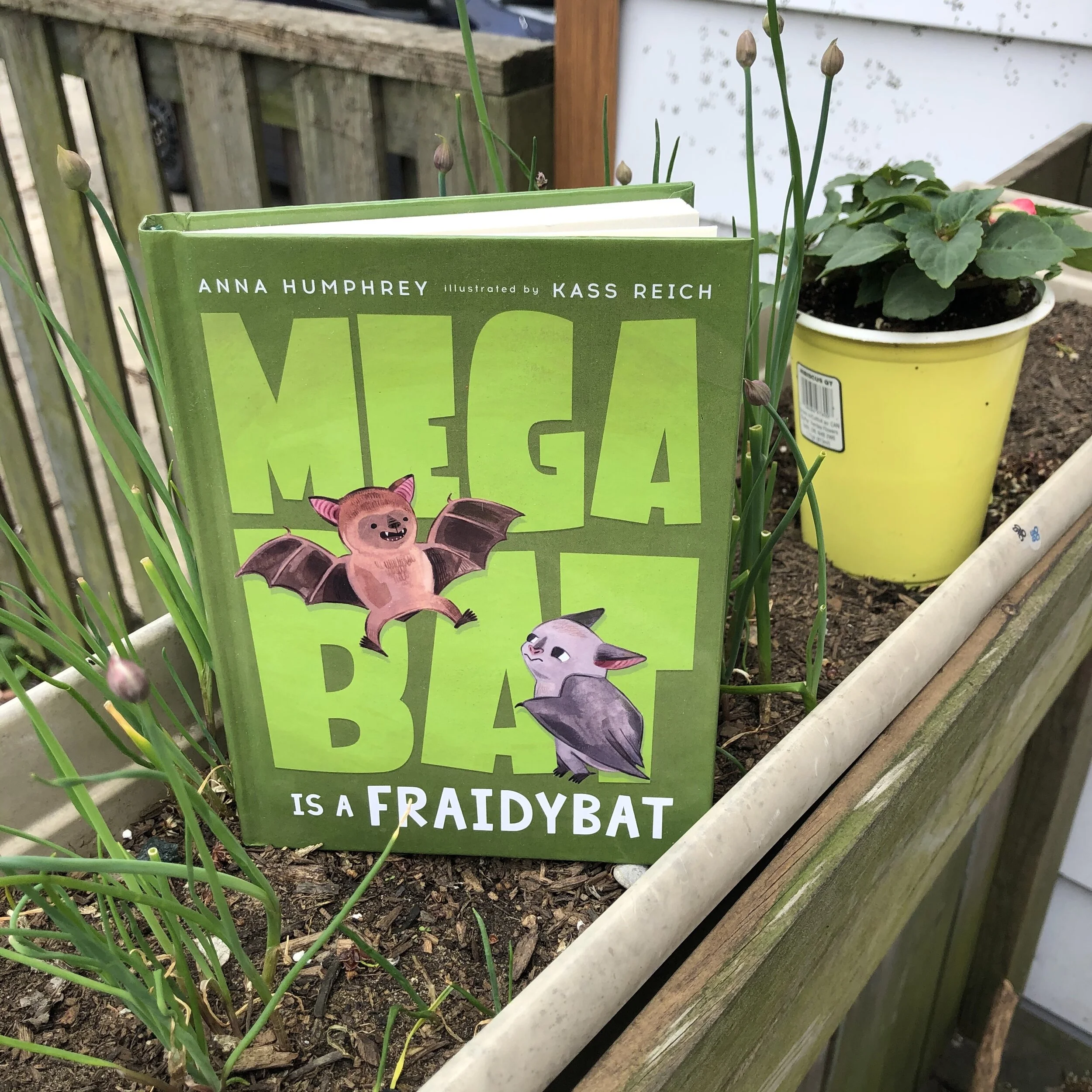 Virtual Sleepover Camp