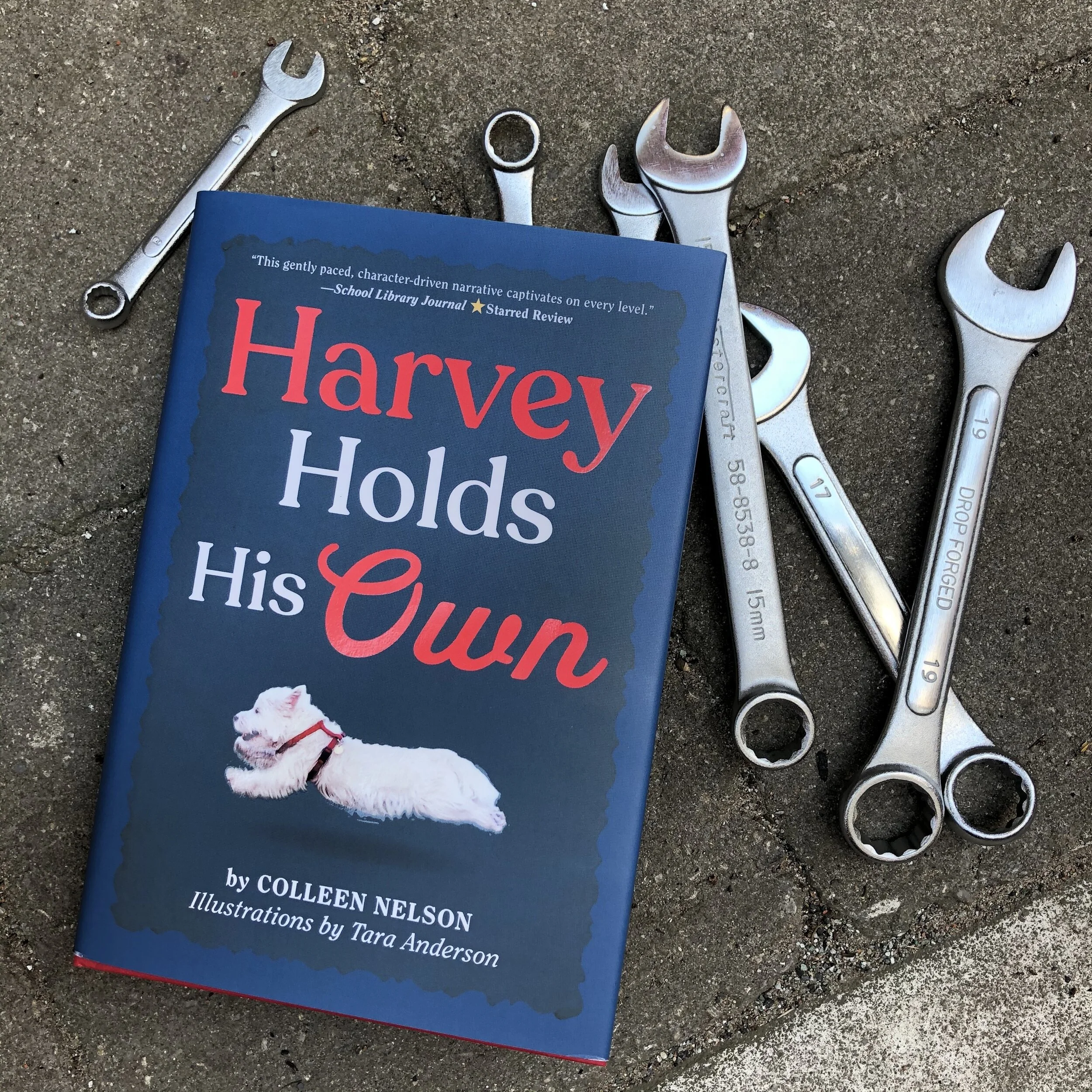 Warm and Fuzzy Follow-Up