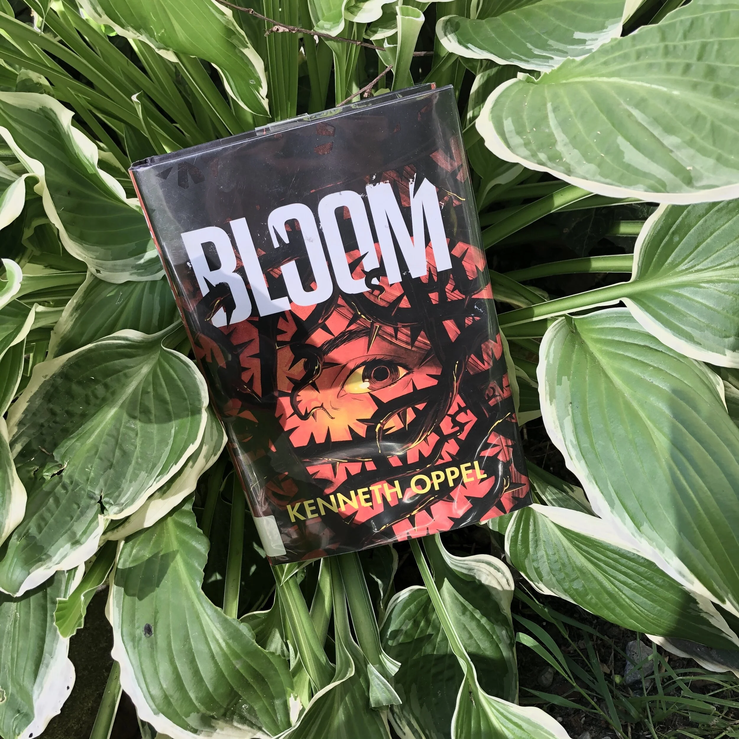 Stellar Pandemic Read