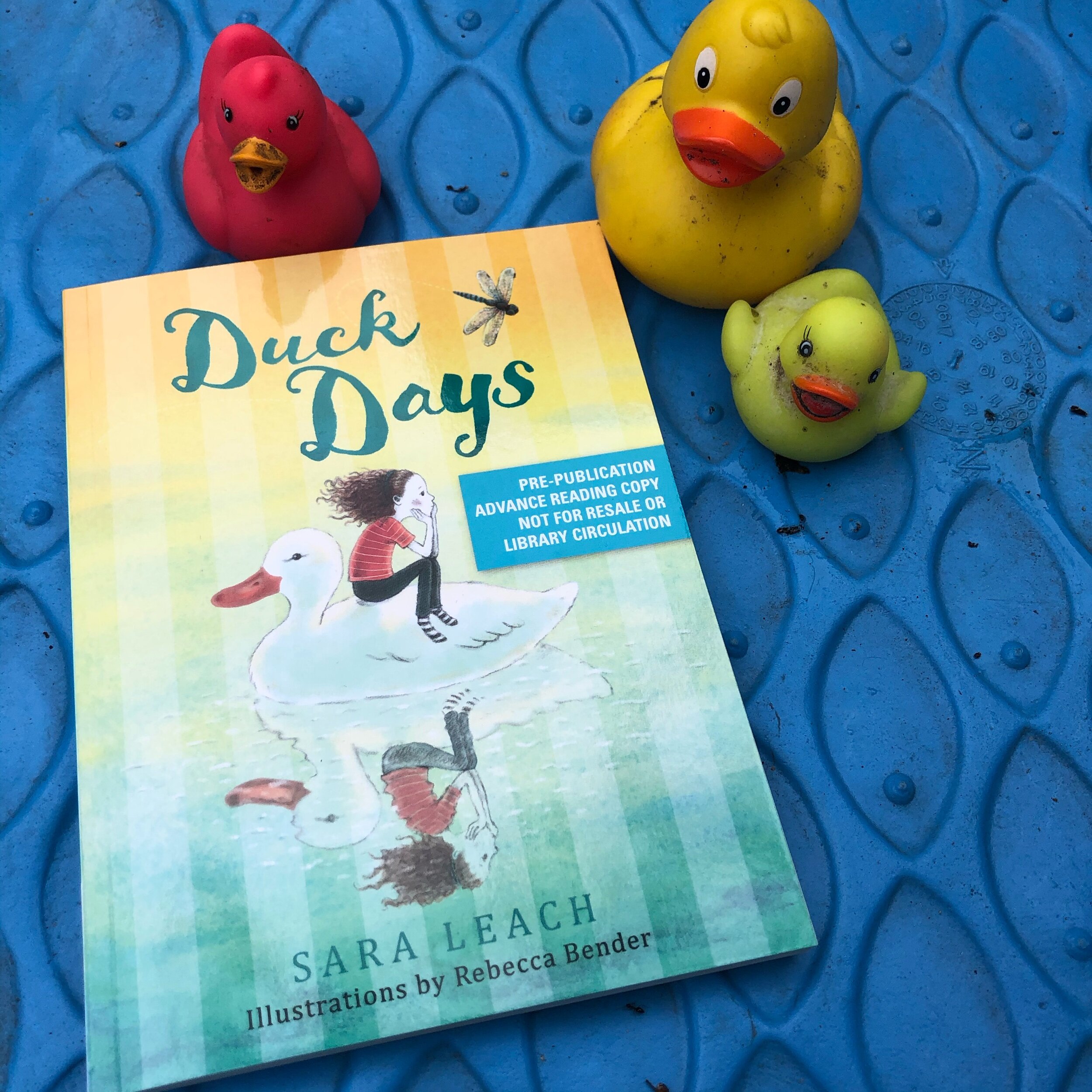 Some Days are for the Ducks