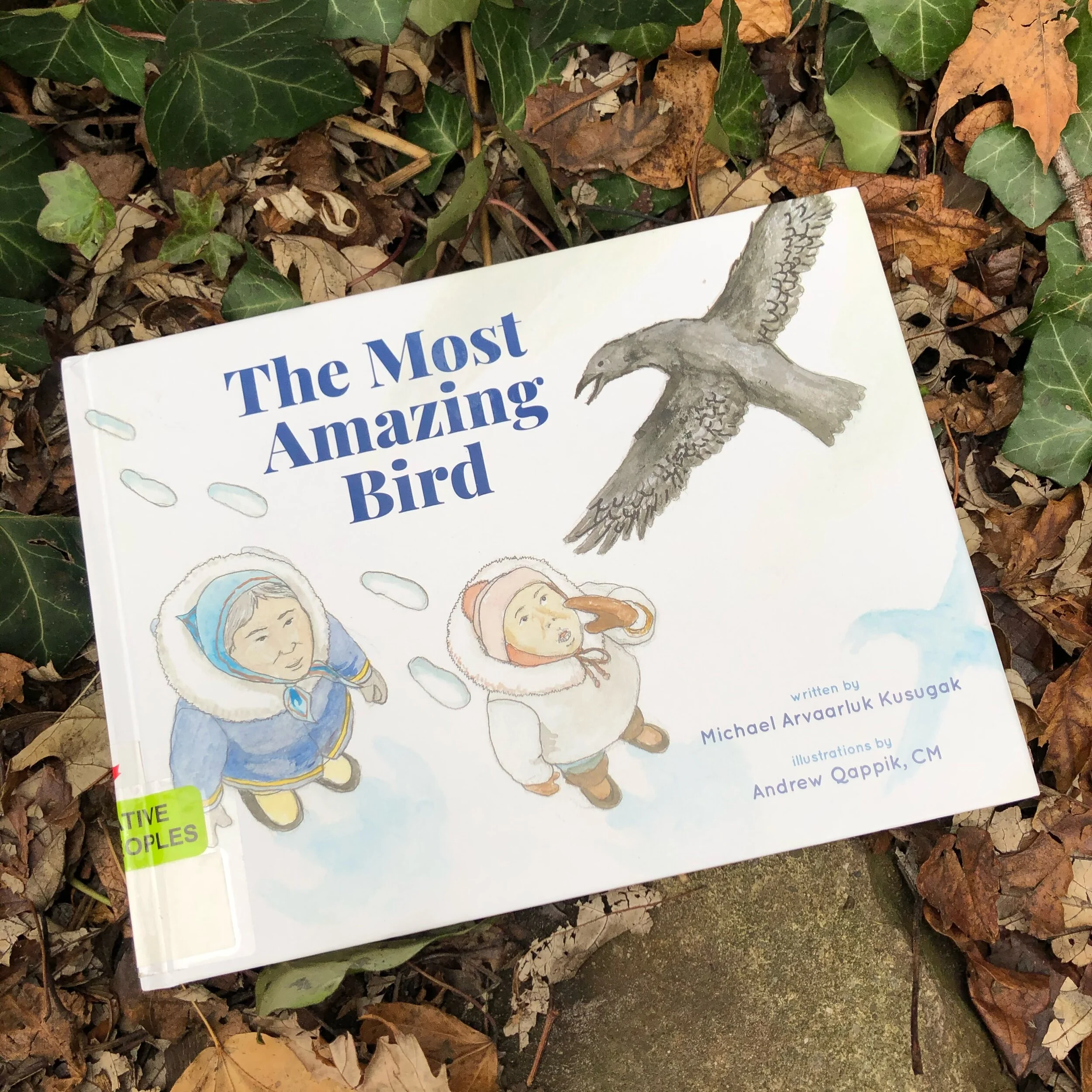 Birds of the Far North
