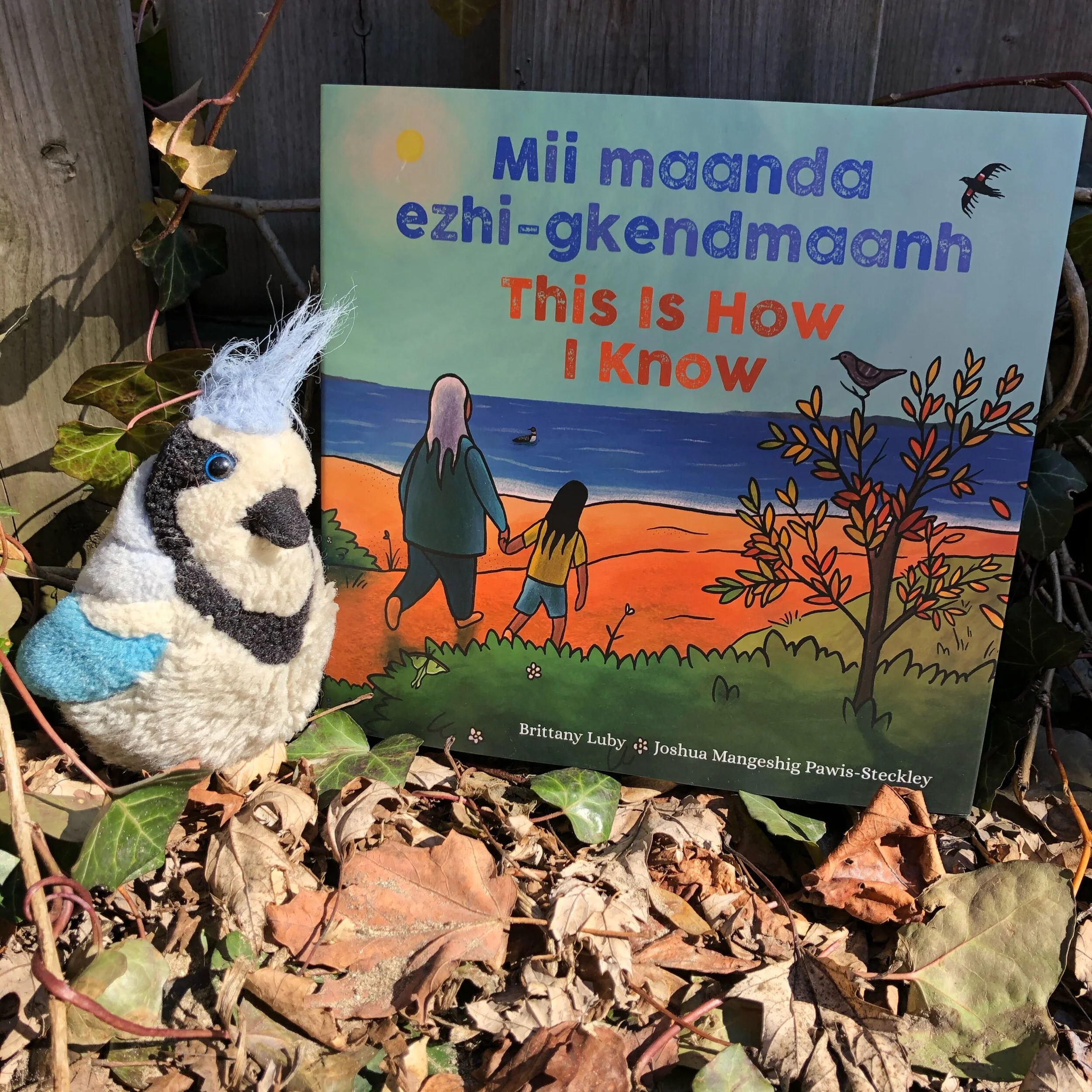 Taking in the Sights of the Seasons