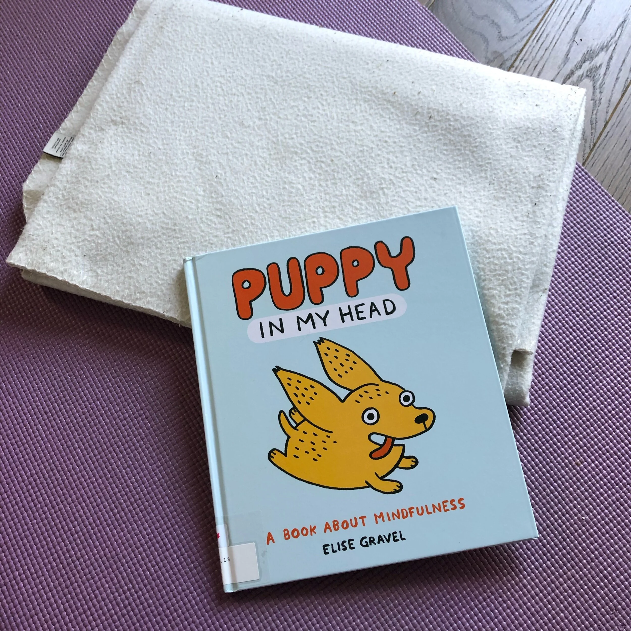 An Introduction to Mindfulness