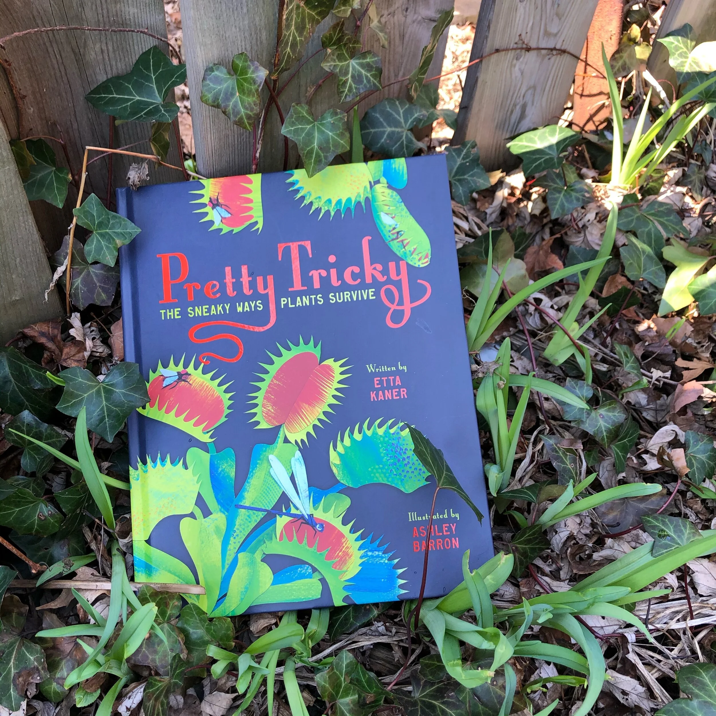 Survival of the…Sneakiest?