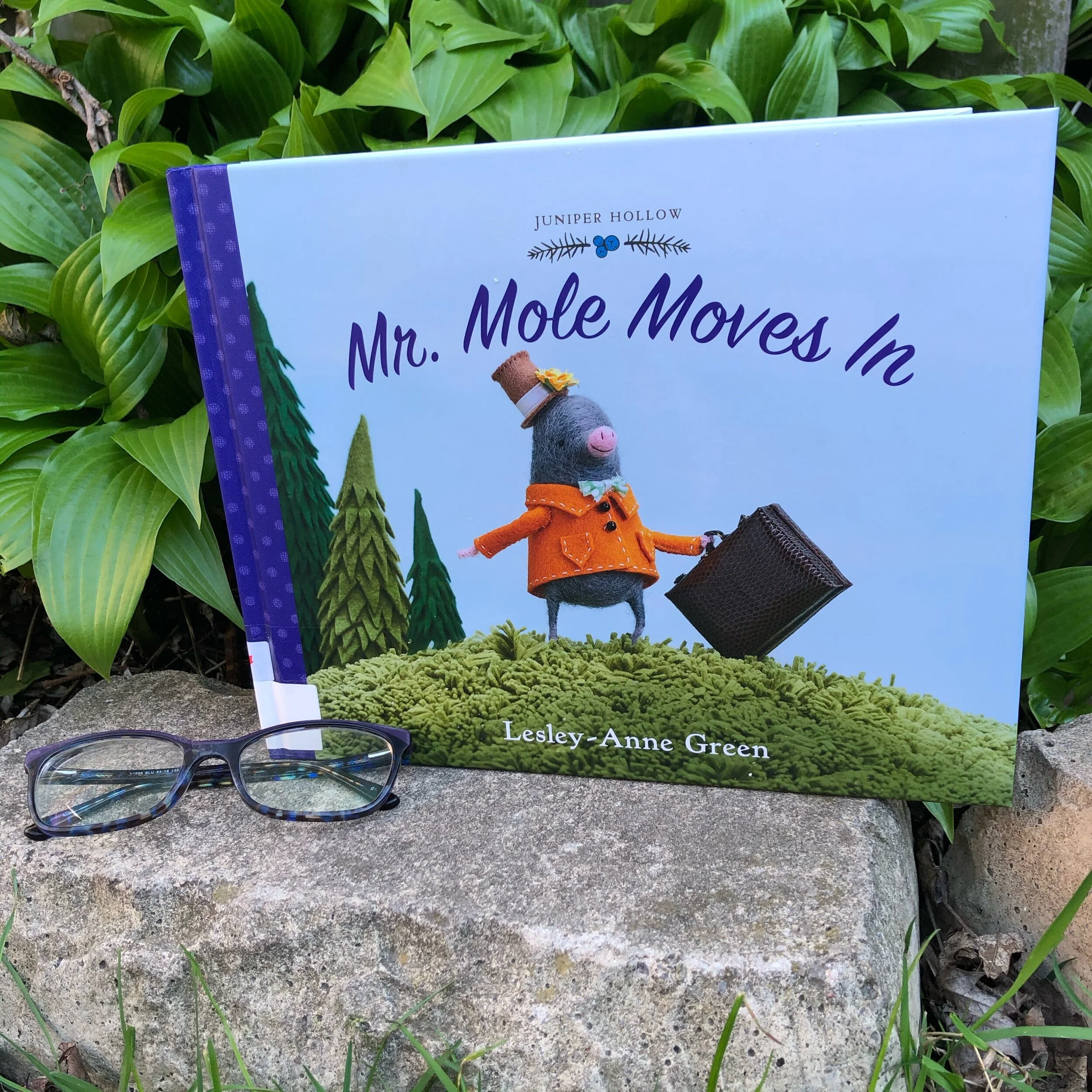 Return to Juniper Hollow