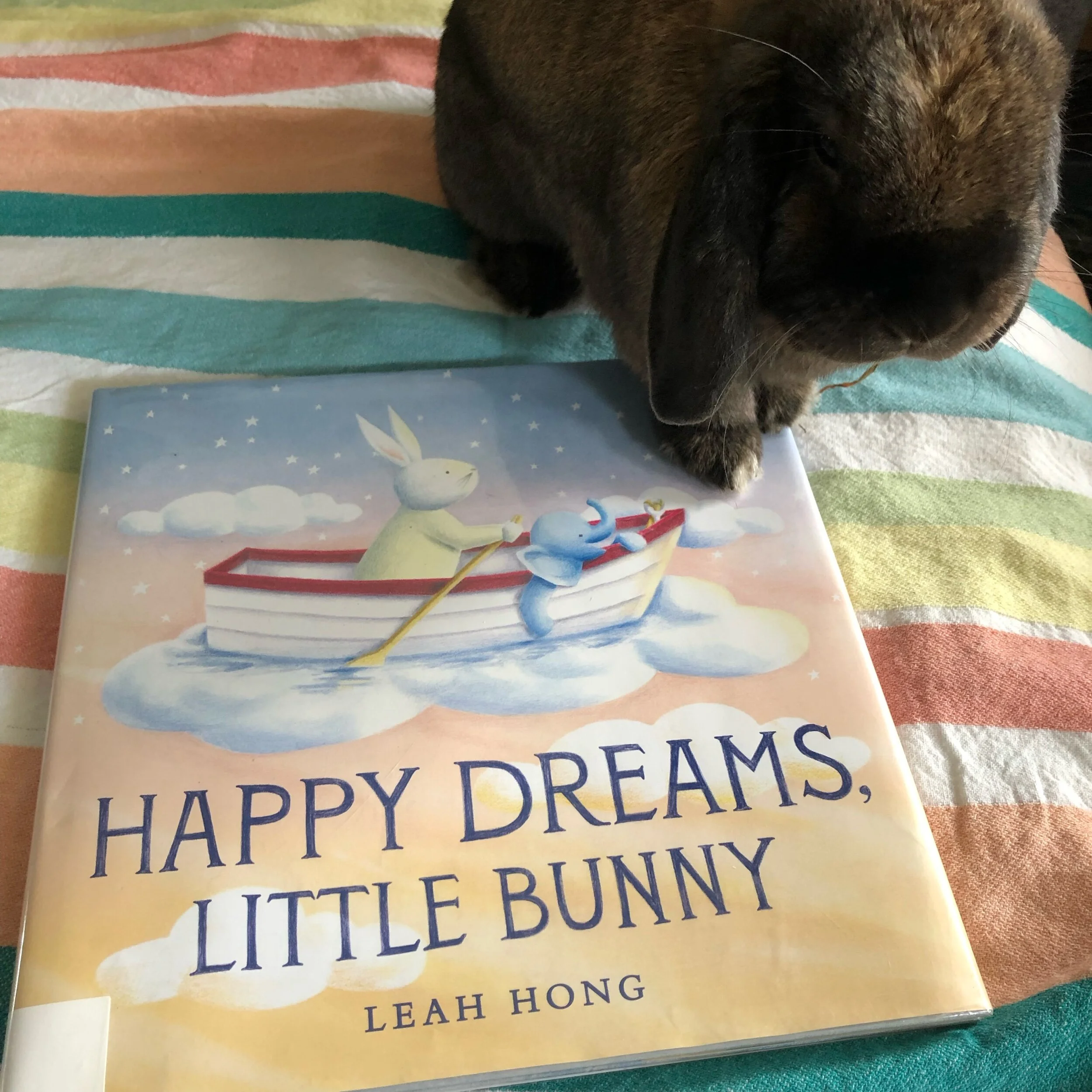 The Dreamiest of Bedtime Stories