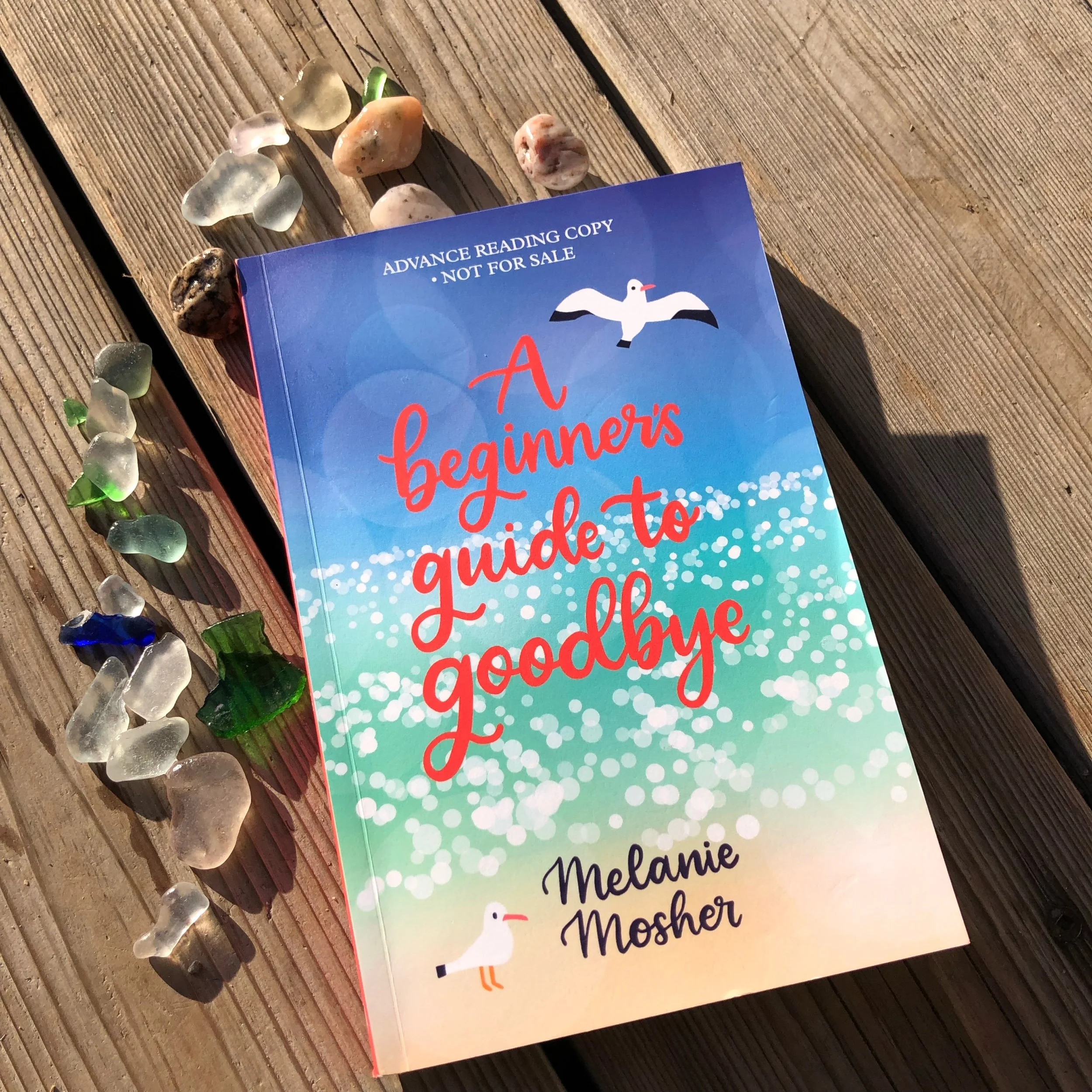 A beginners guide to goodbye