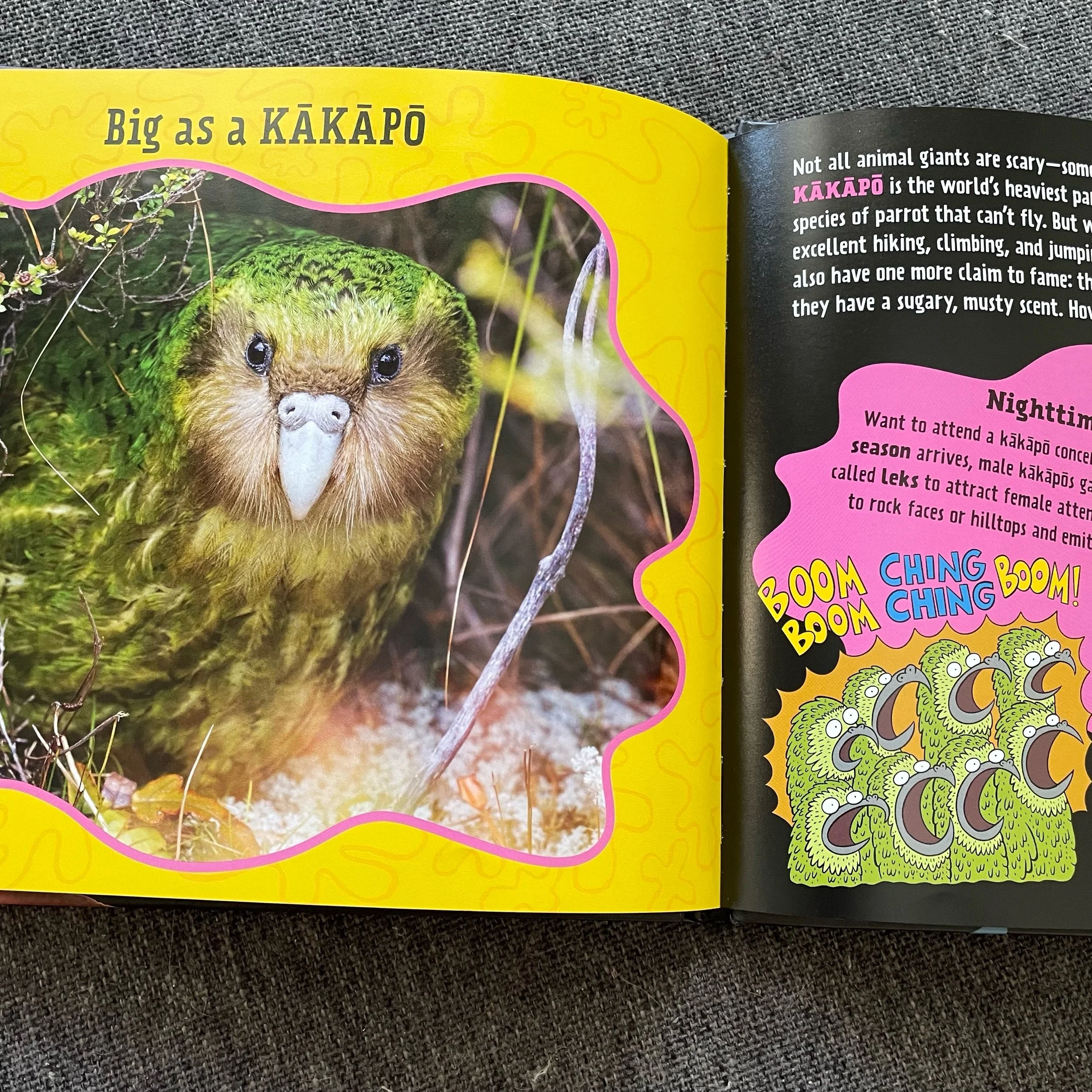 IMG_9821.jpeg