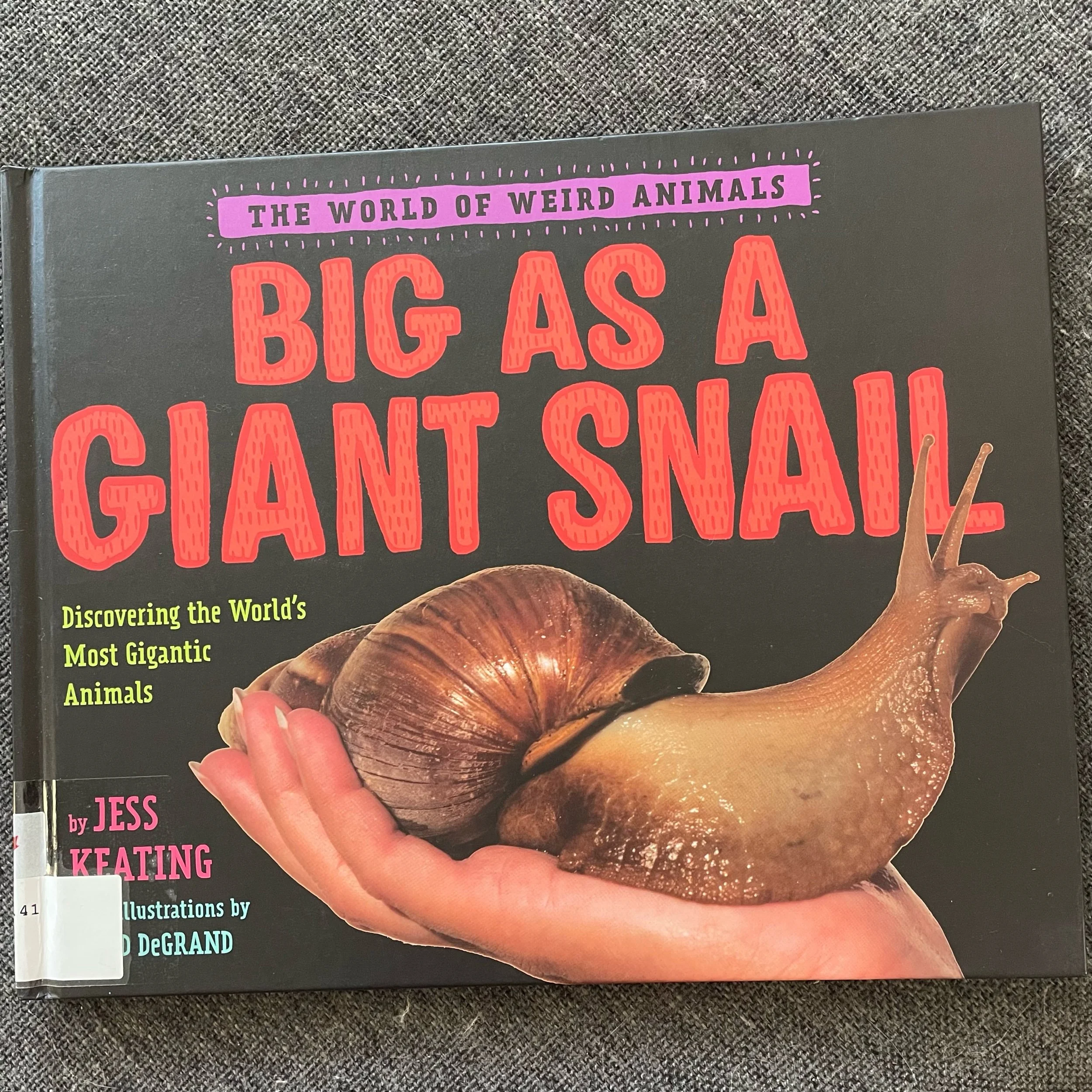 Big as a Giant Snail