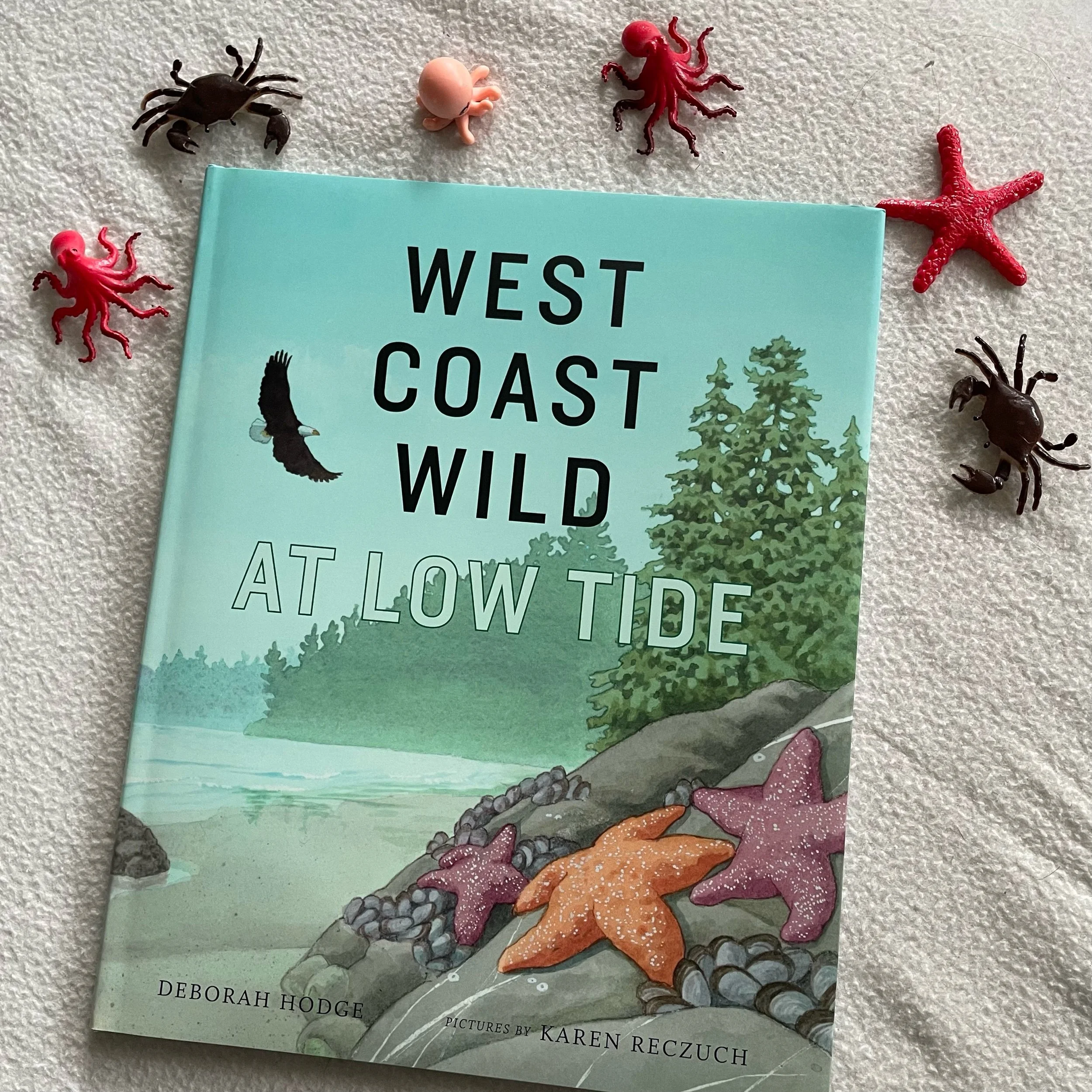 West Coast Wild at Low Tide