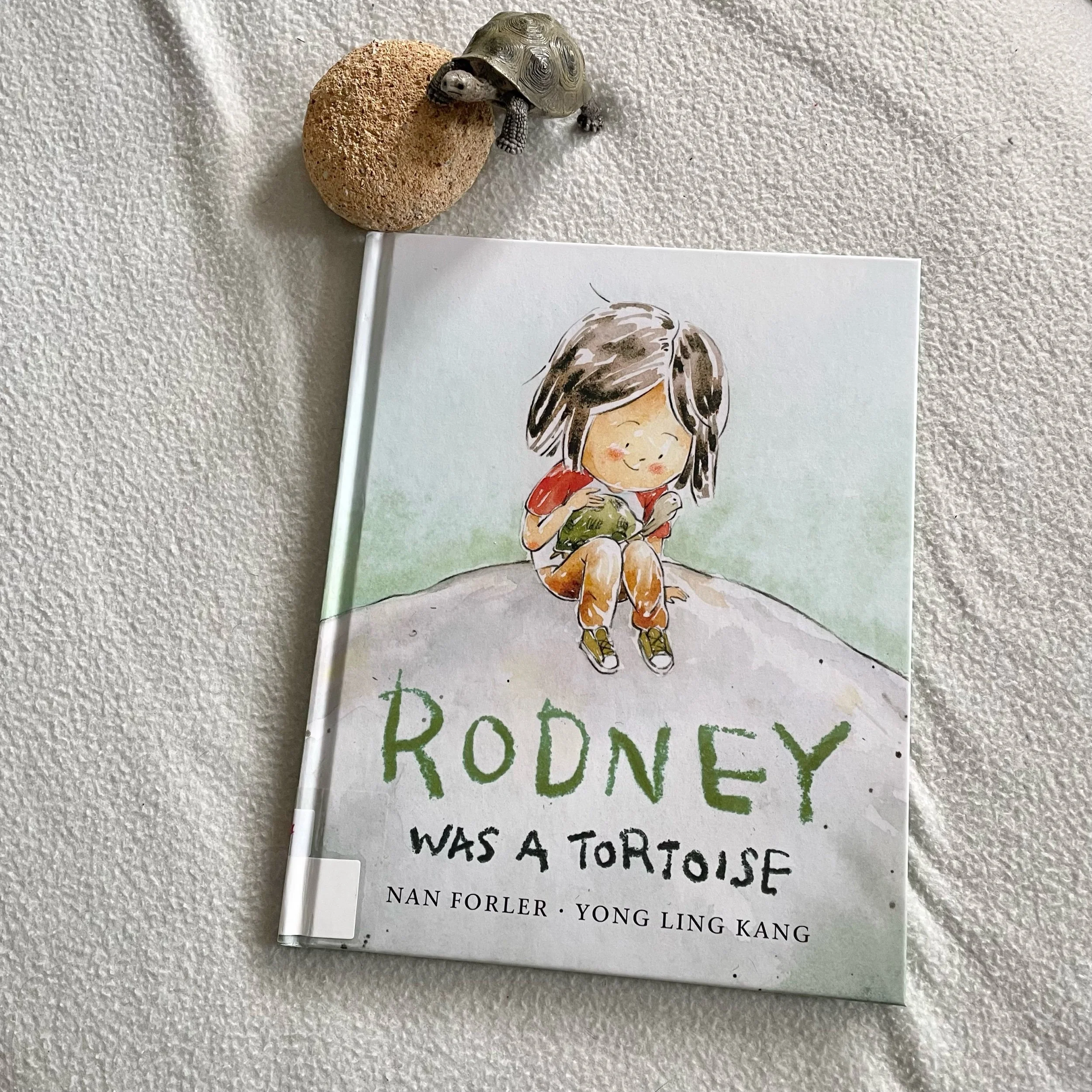 Rodney was a Tortoise